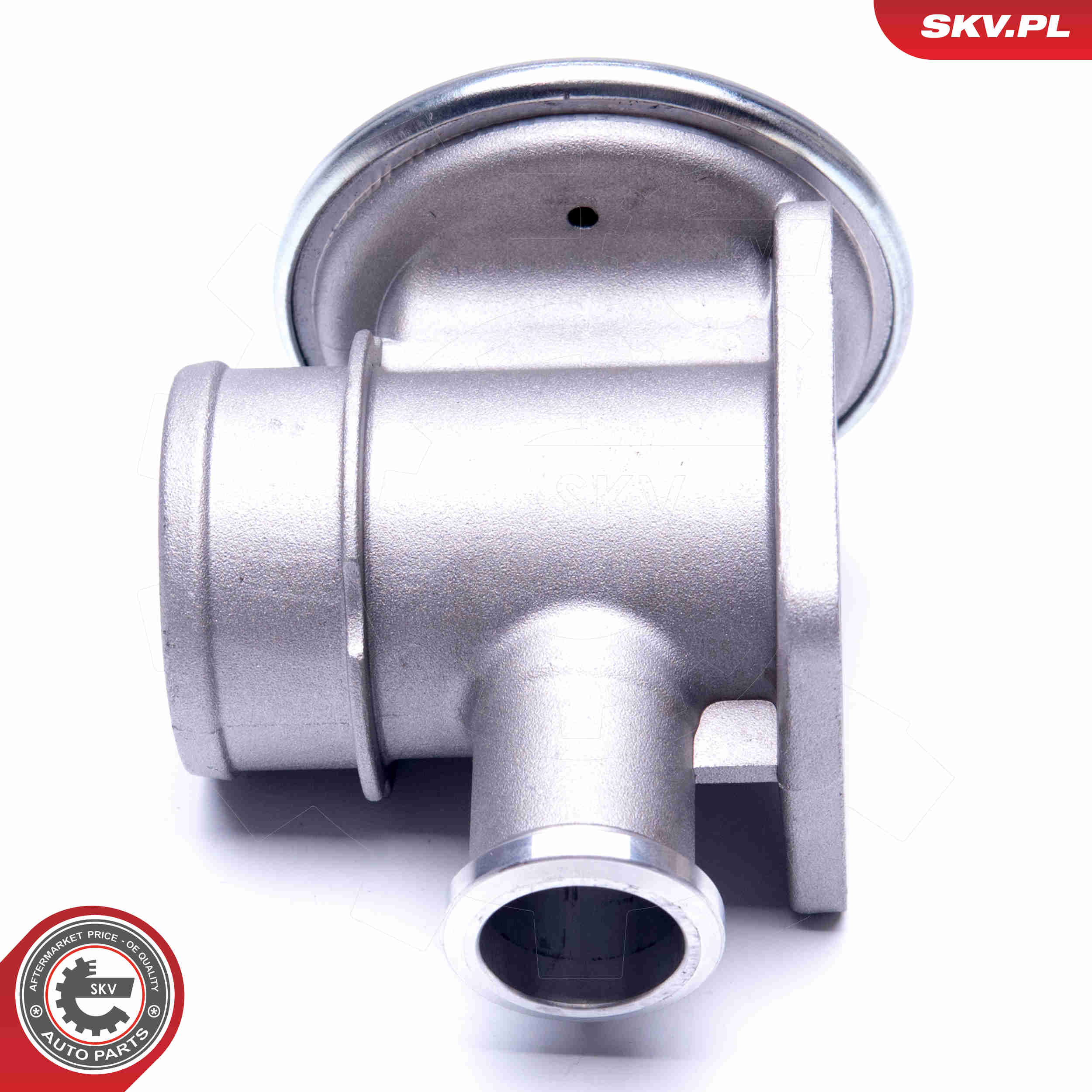 EGR Valve - 14SKV179 ESEN SKV