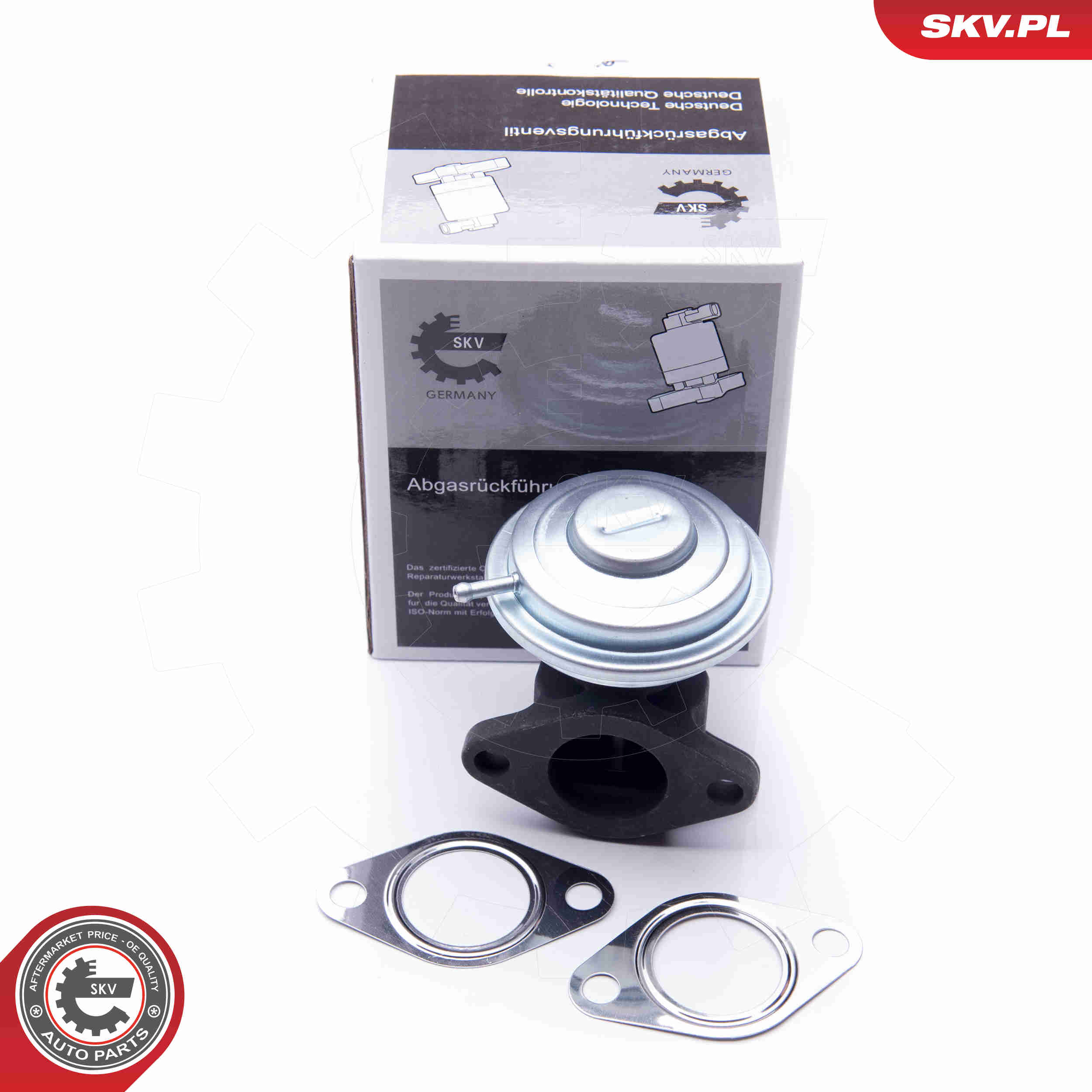 EGR Valve - 14SKV183 ESEN SKV