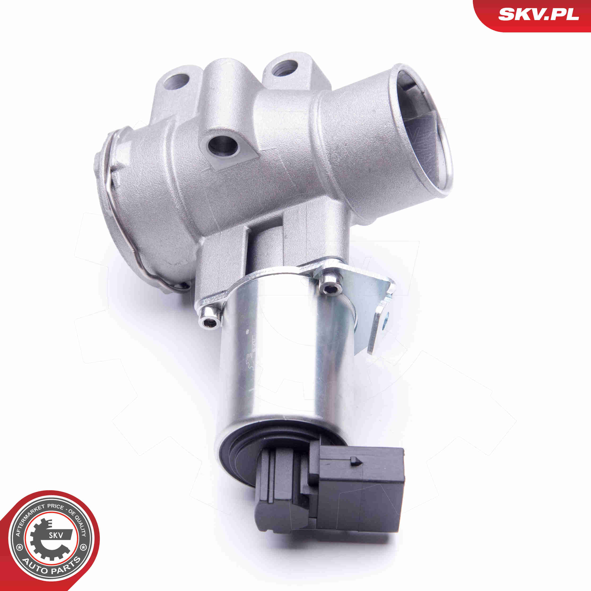 EGR Valve - 14SKV186 ESEN SKV