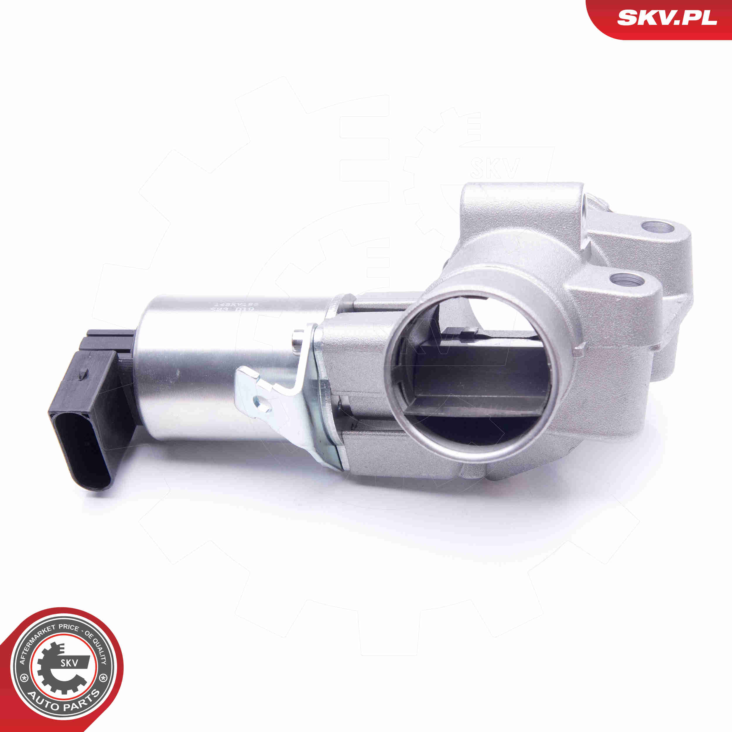 EGR Valve - 14SKV186 ESEN SKV