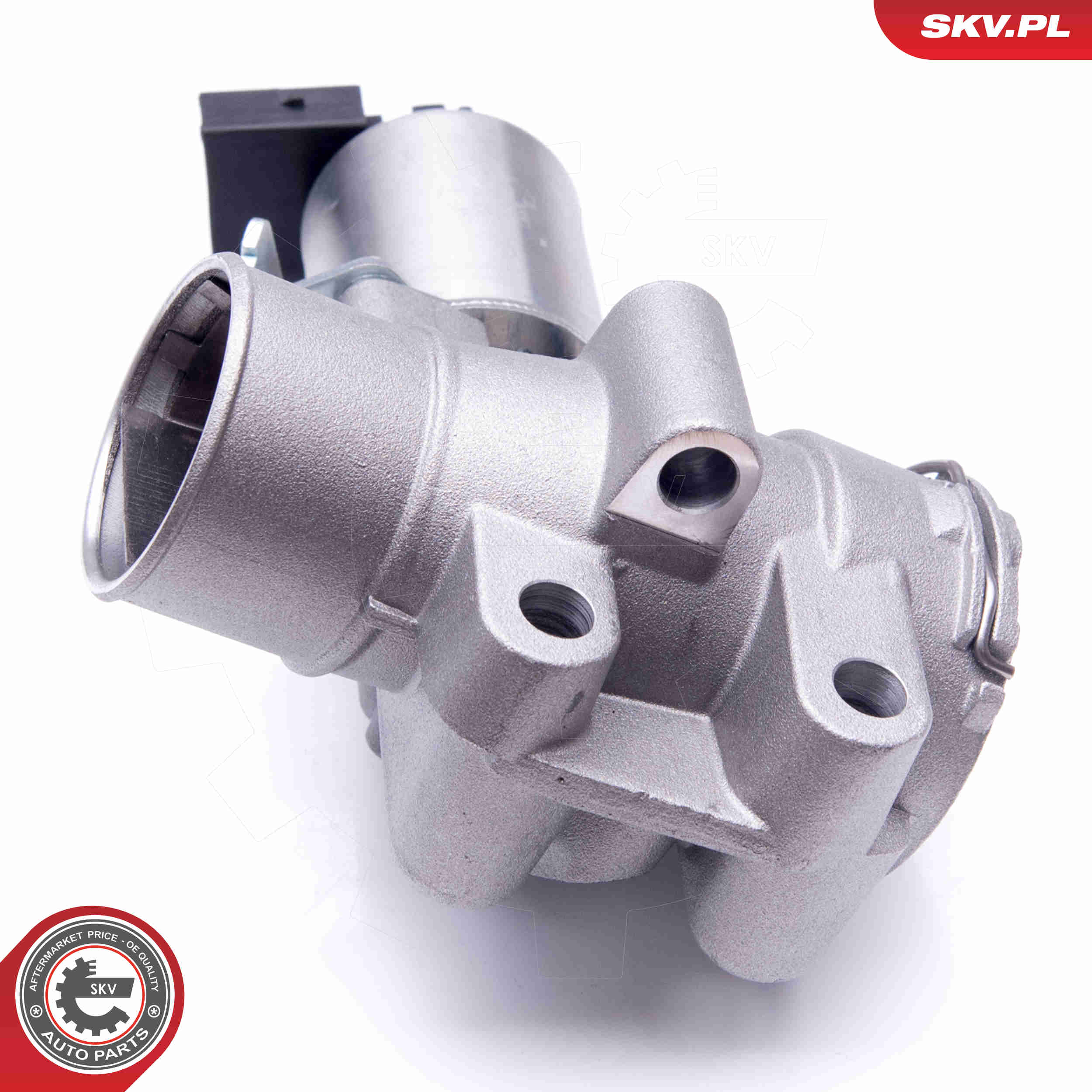 EGR Valve - 14SKV186 ESEN SKV