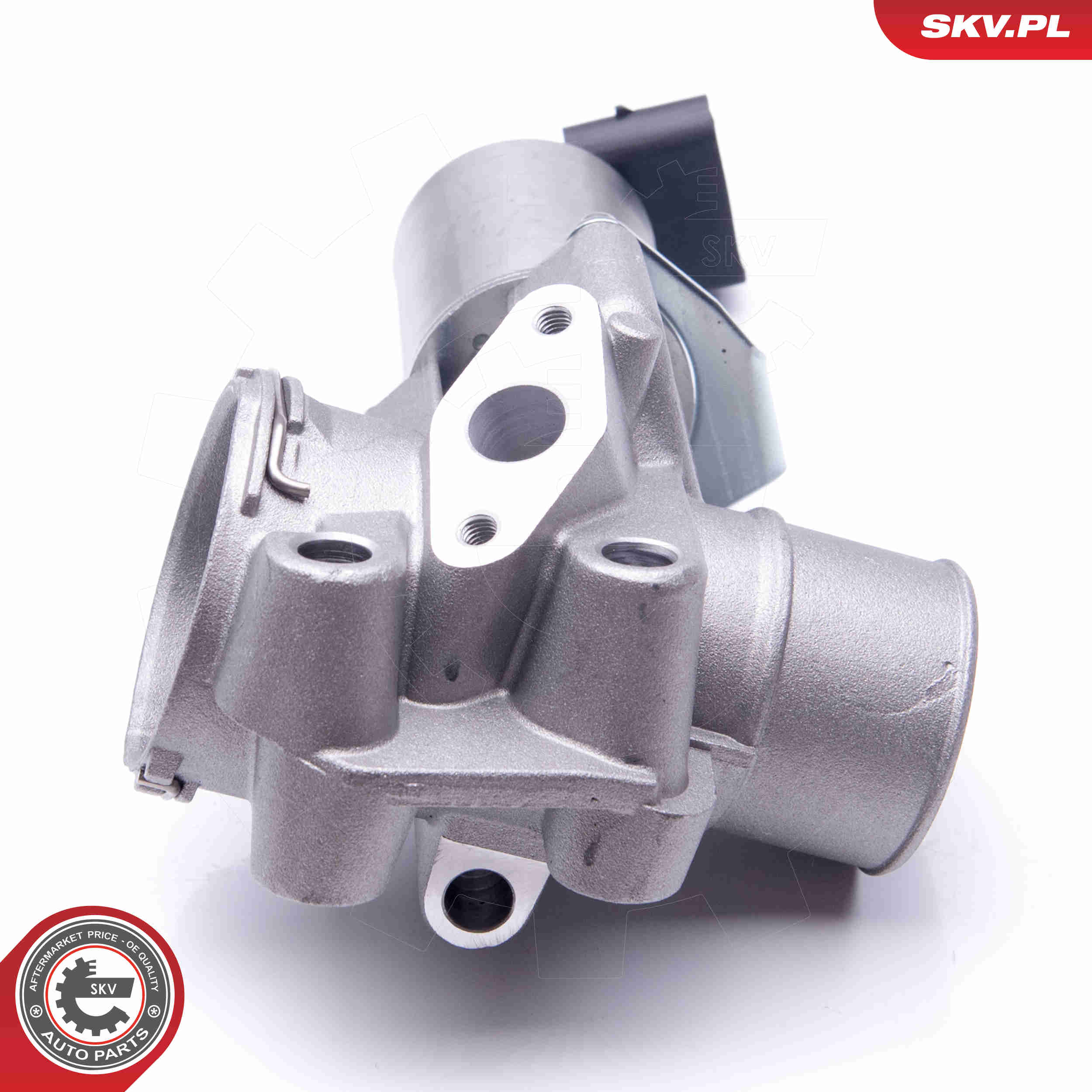 EGR Valve - 14SKV186 ESEN SKV