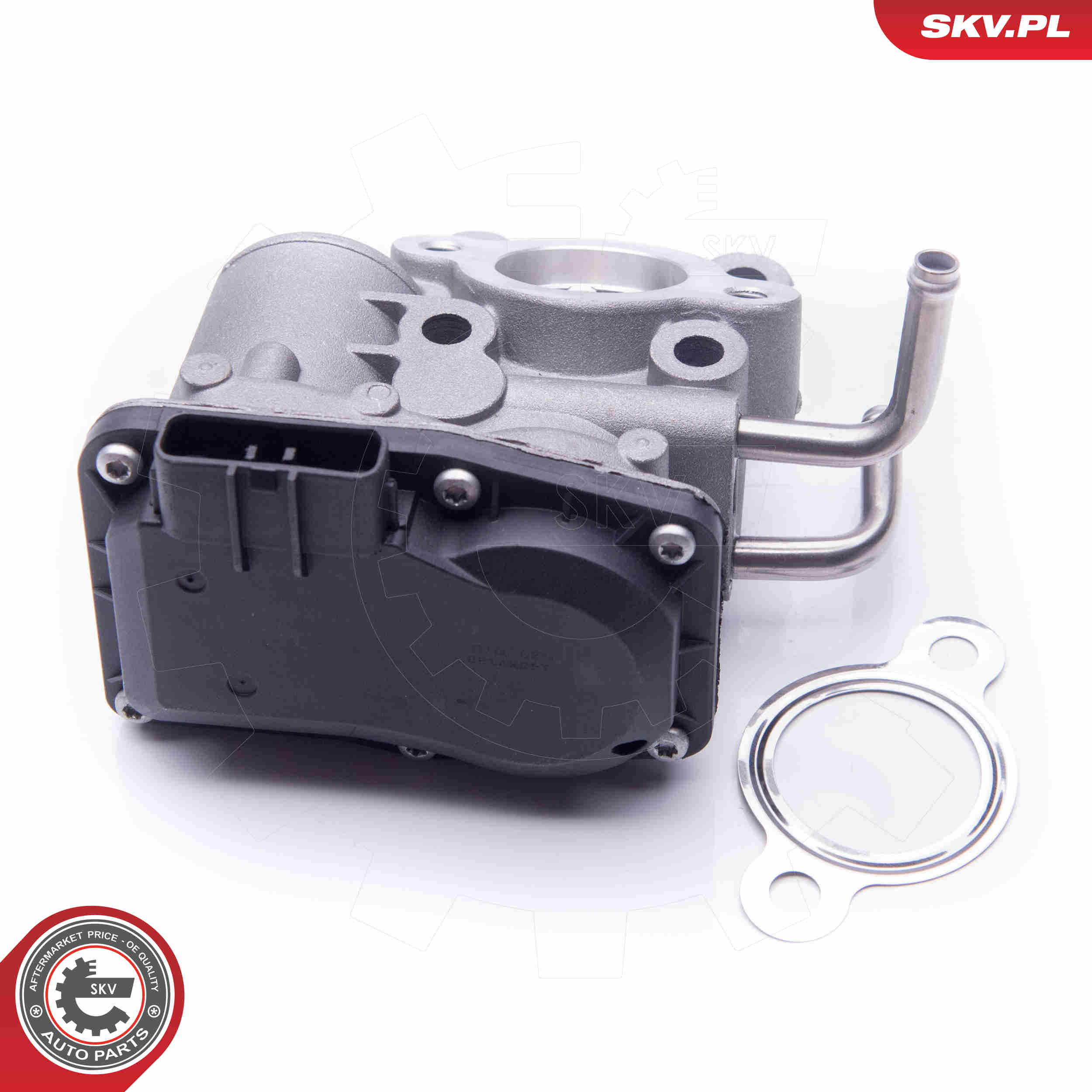 EGR Valve - 14SKV189 ESEN SKV