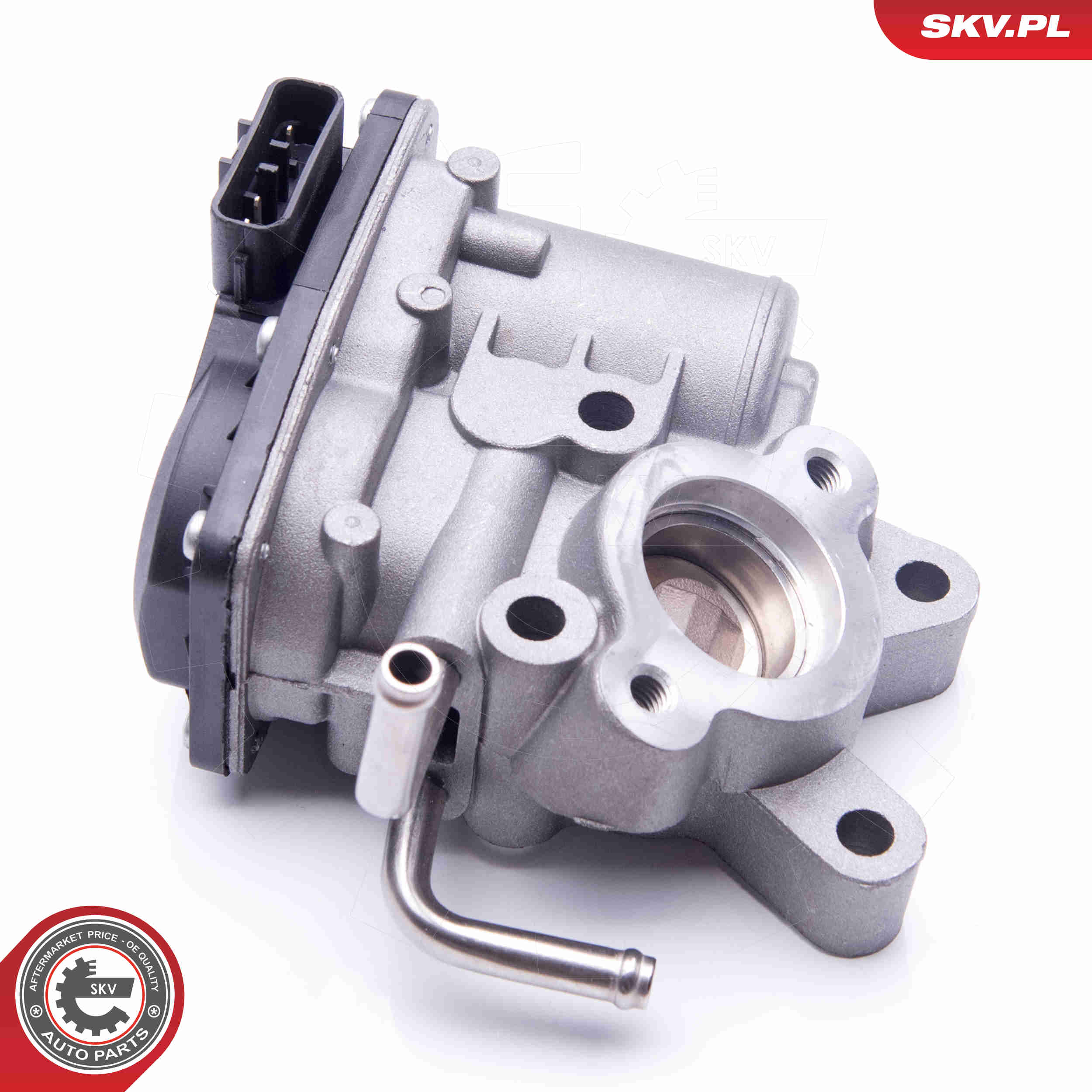 EGR Valve - 14SKV189 ESEN SKV