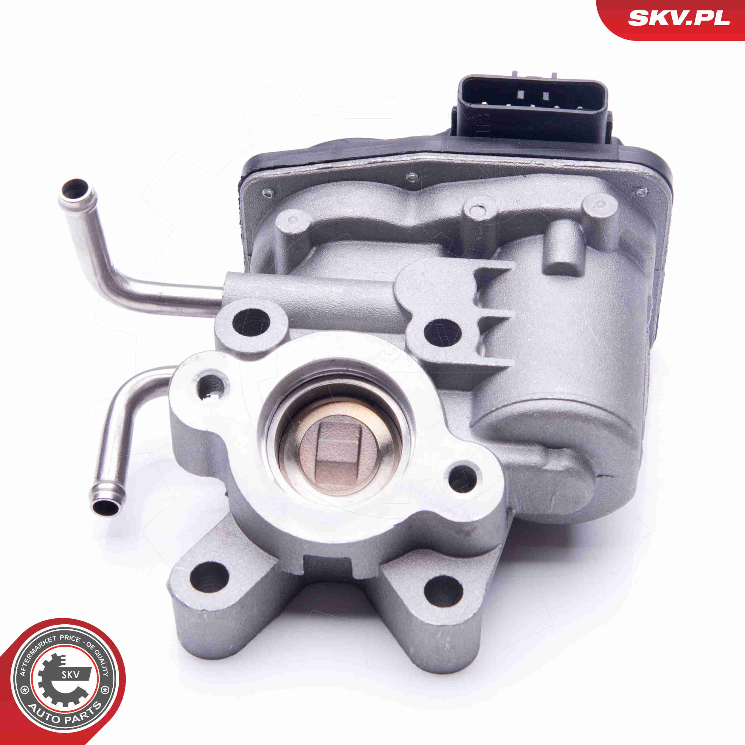 EGR Valve - 14SKV189 ESEN SKV