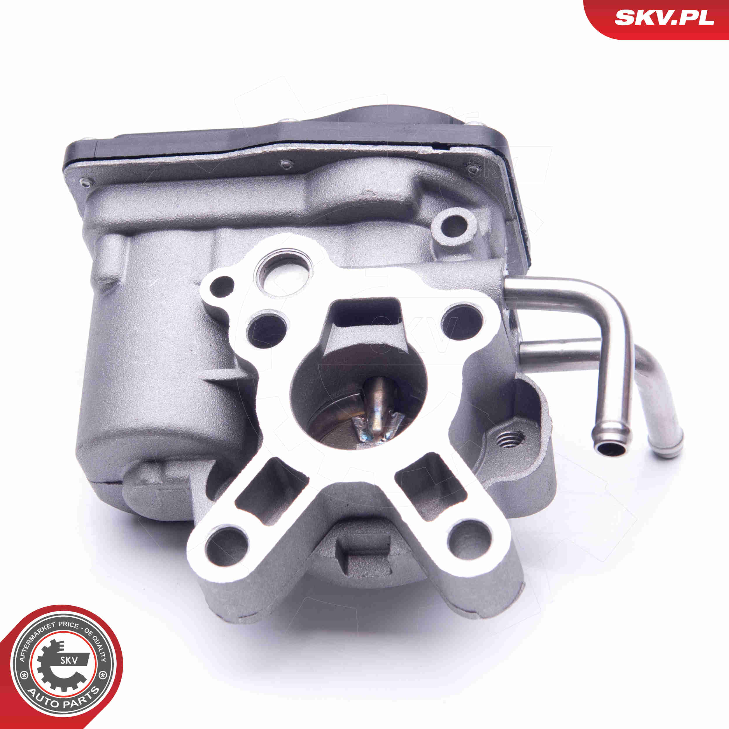 EGR Valve - 14SKV189 ESEN SKV