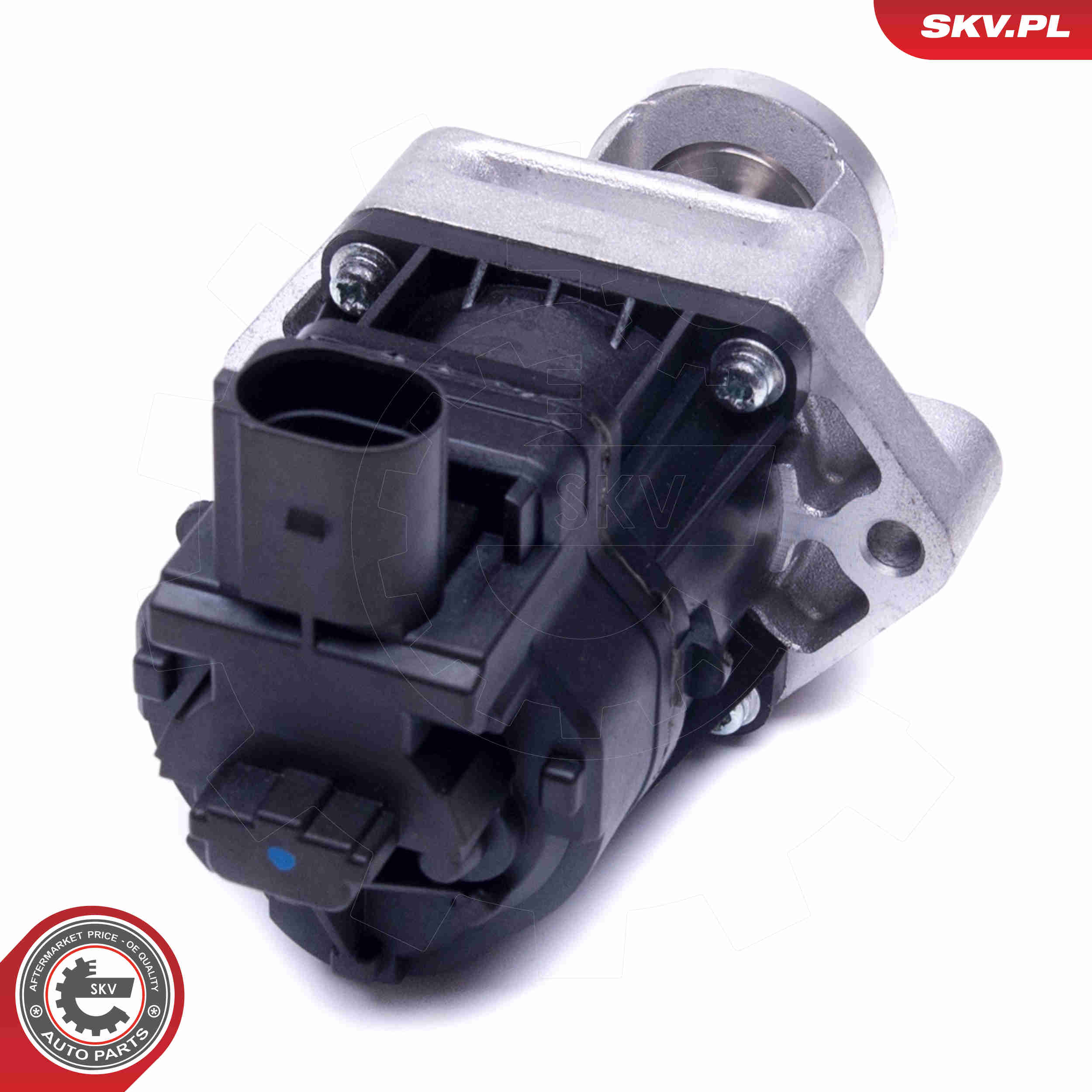 EGR Valve - 14SKV217 ESEN SKV