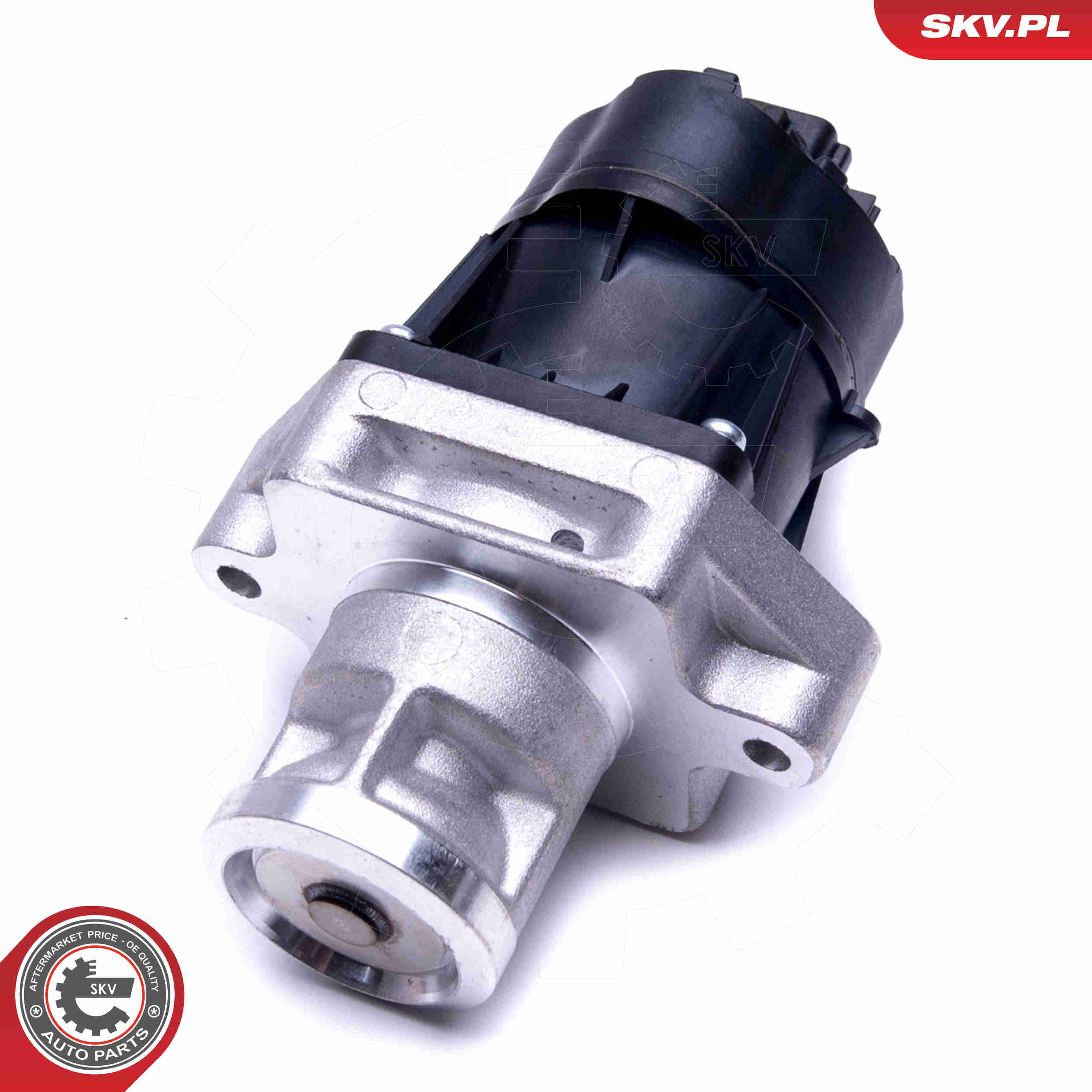 EGR Valve - 14SKV217 ESEN SKV