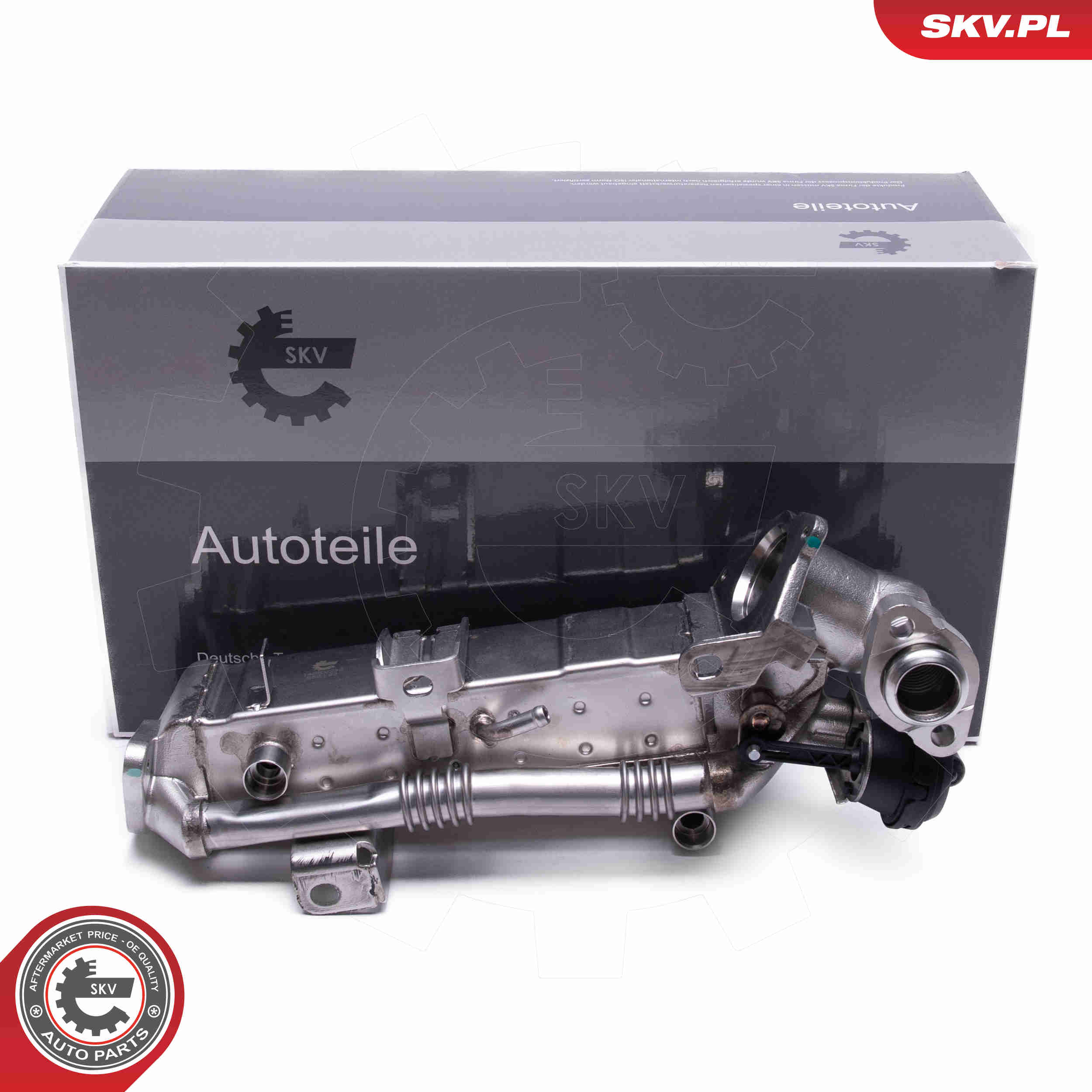 Valvola ricircolo gas scarico-EGR - 14SKV239 ESEN SKV