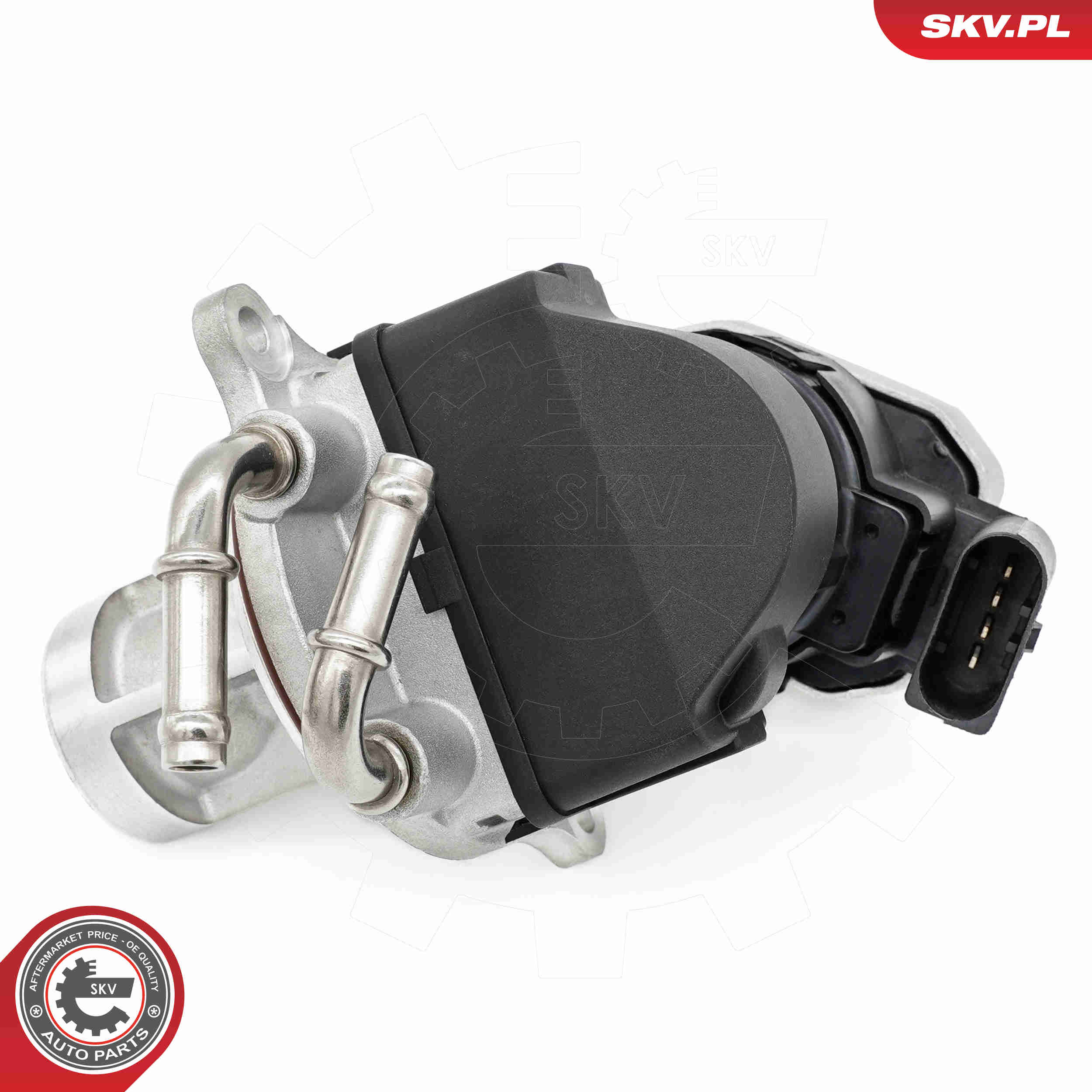 EGR Valve - 14SKV255 ESEN SKV