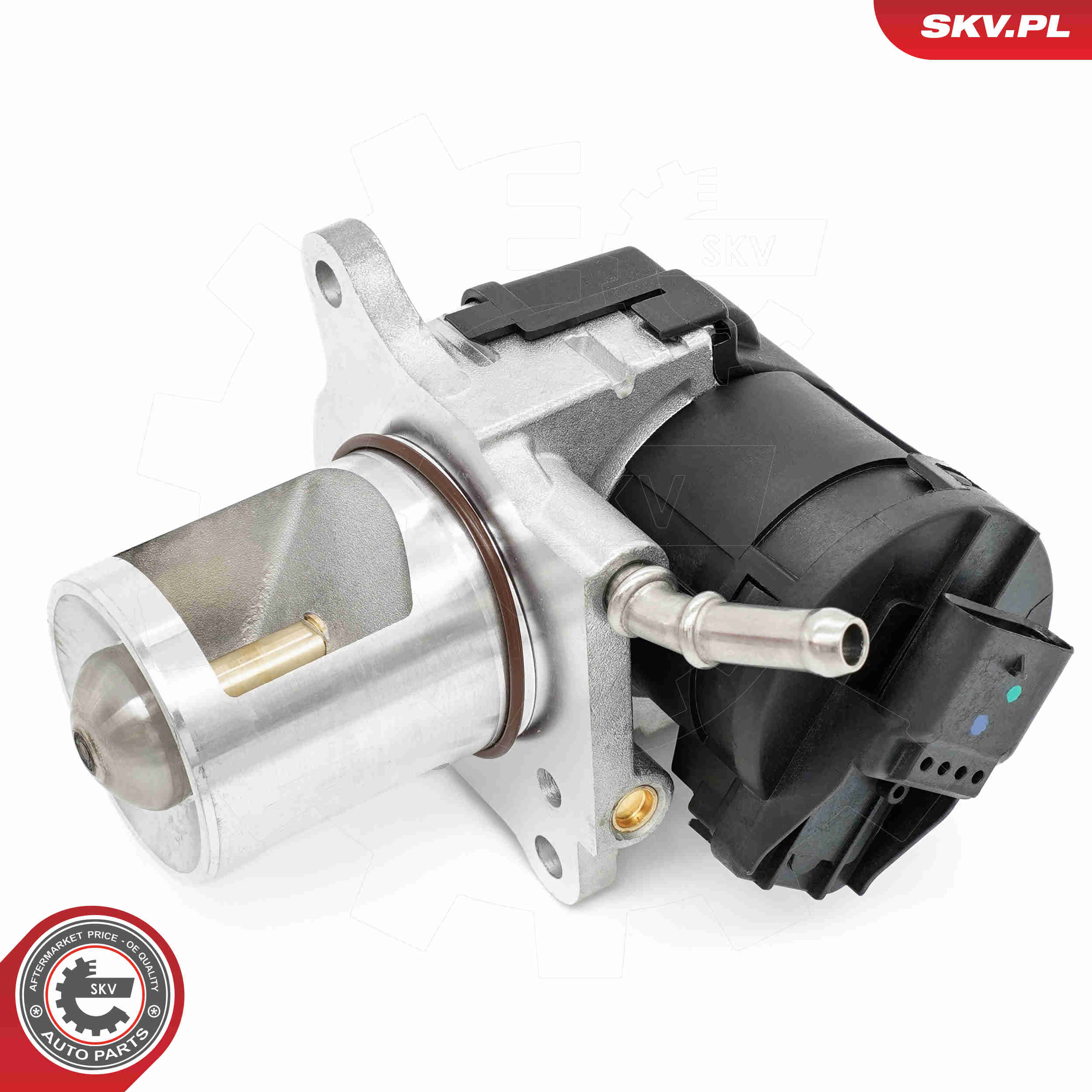 EGR Valve - 14SKV266 ESEN SKV