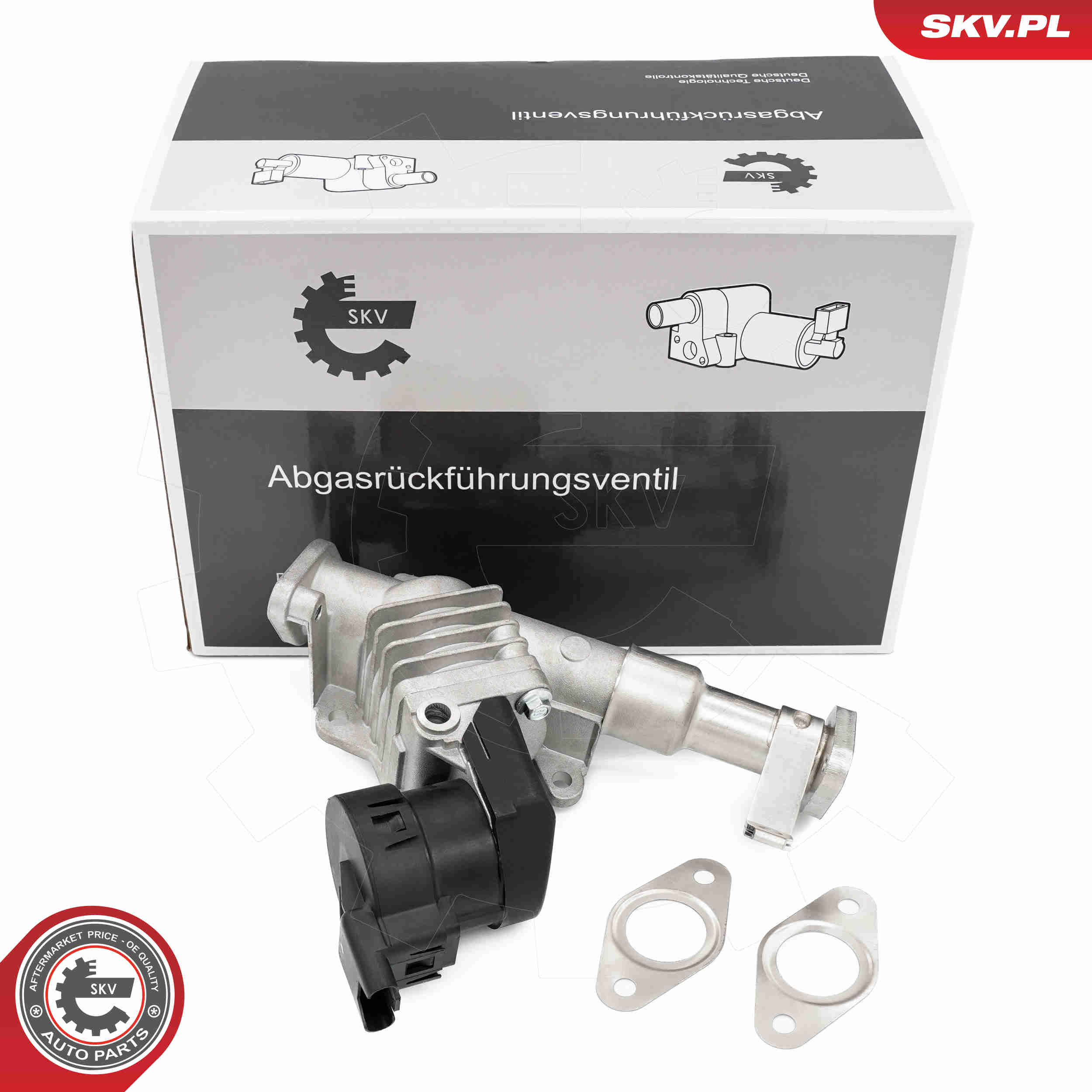 EGR Valve - 14SKV287 ESEN SKV