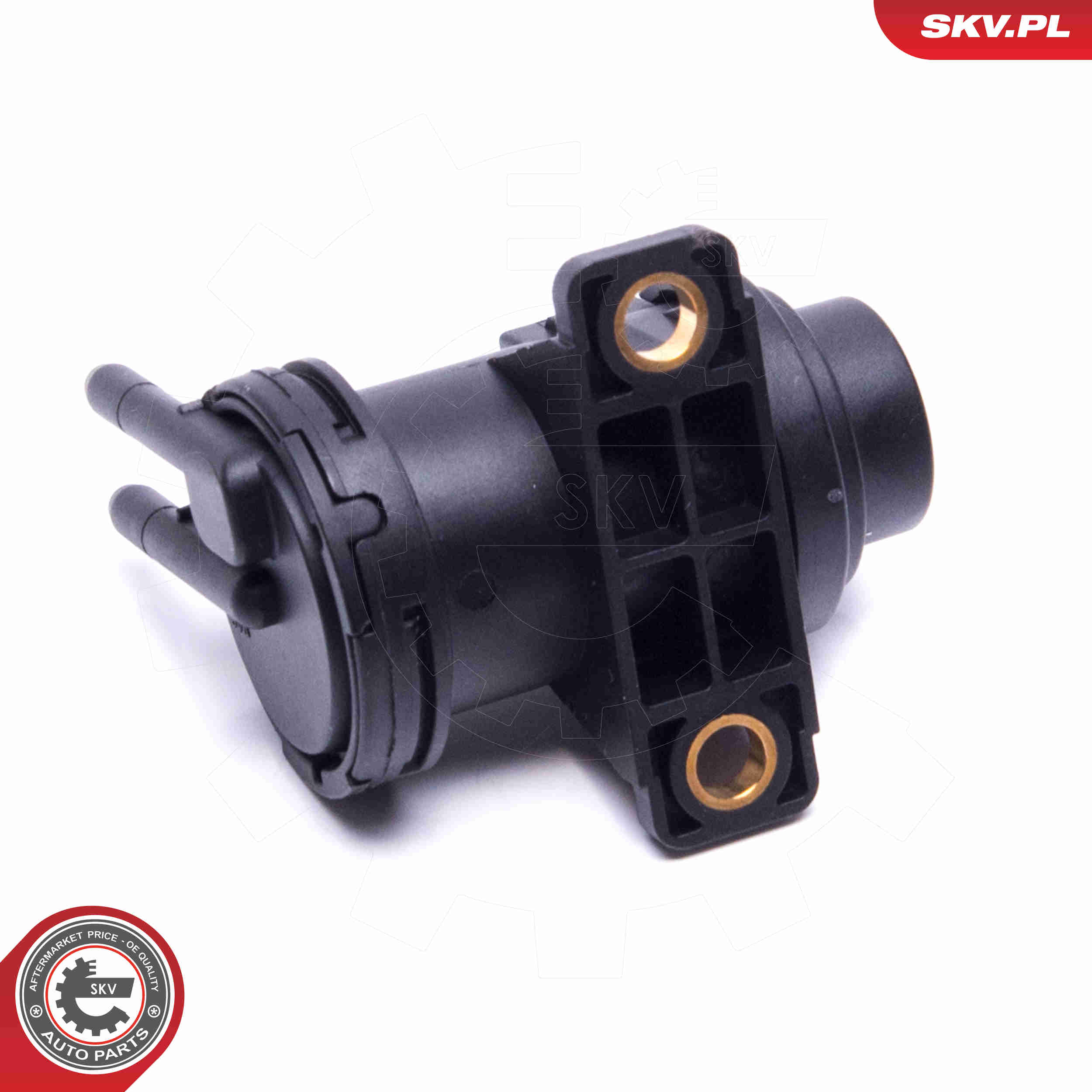 Convertitore pressione, Controllo gas scarico - 14SKV923 ESEN SKV