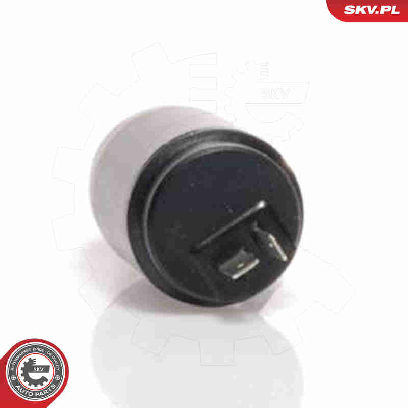 Водяной насос, система очистки окон - 15SKV002 ESEN SKV