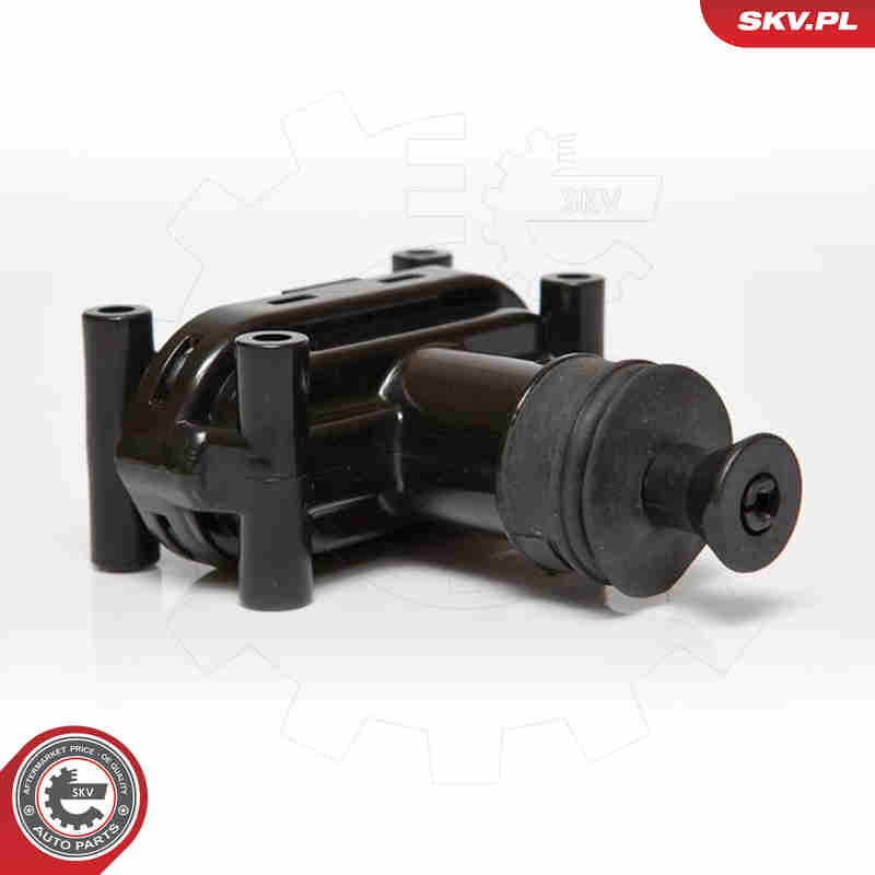 Door Lock - 16SKV110 ESEN SKV