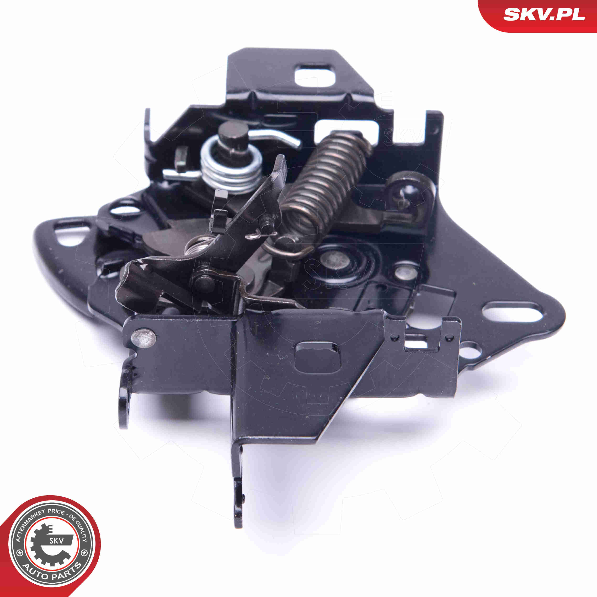 Tailgate Lock - 16SKV248 ESEN SKV