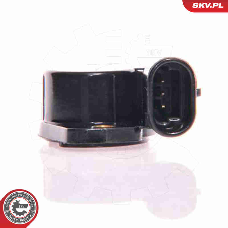 Sensor, throttle position - 17SKV004 ESEN SKV
