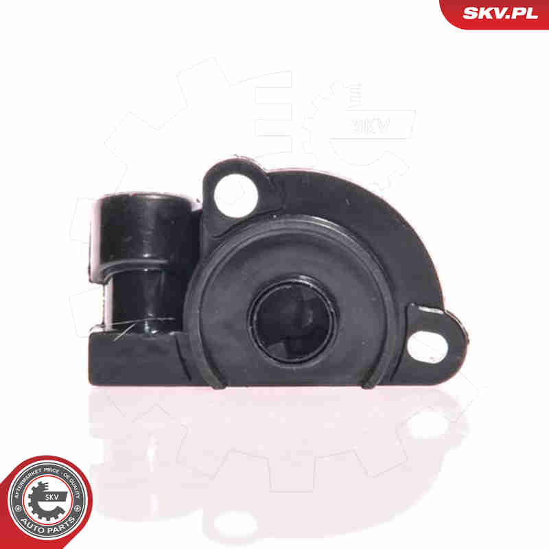Sensor, throttle position - 17SKV006 ESEN SKV