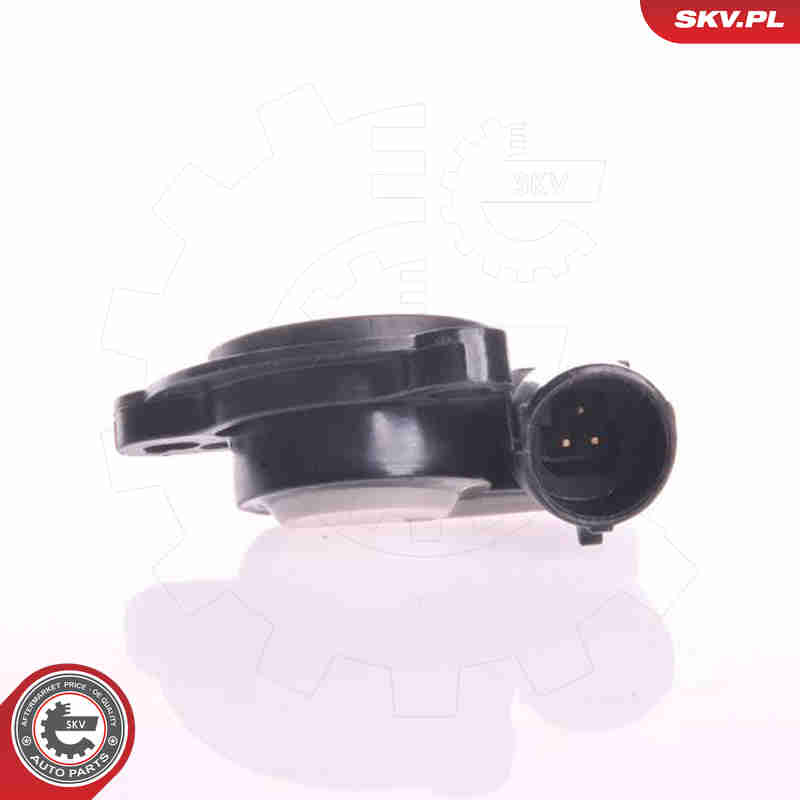 Sensor, throttle position - 17SKV007 ESEN SKV