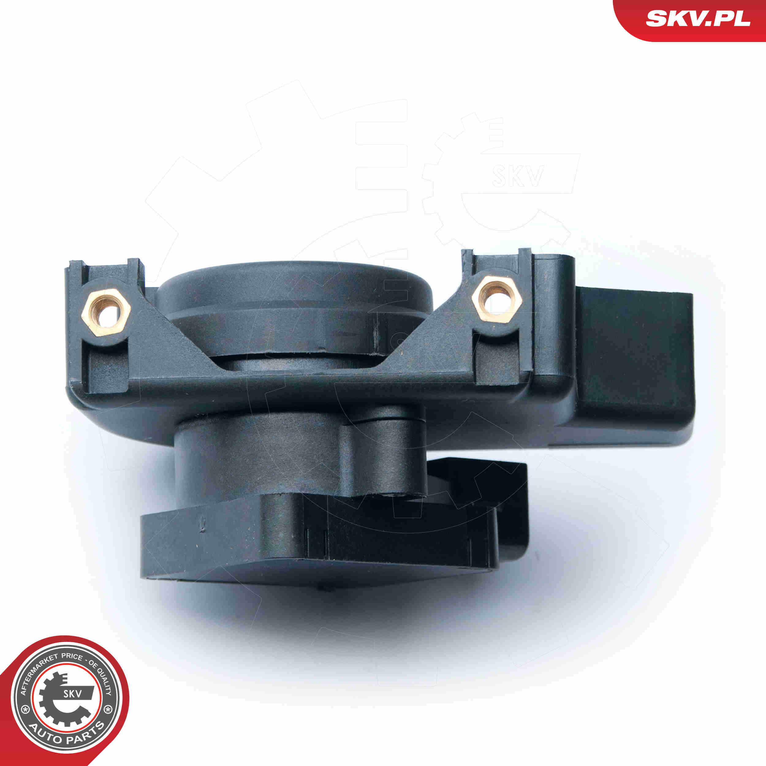 Sensor, throttle position - 17SKV015 ESEN SKV