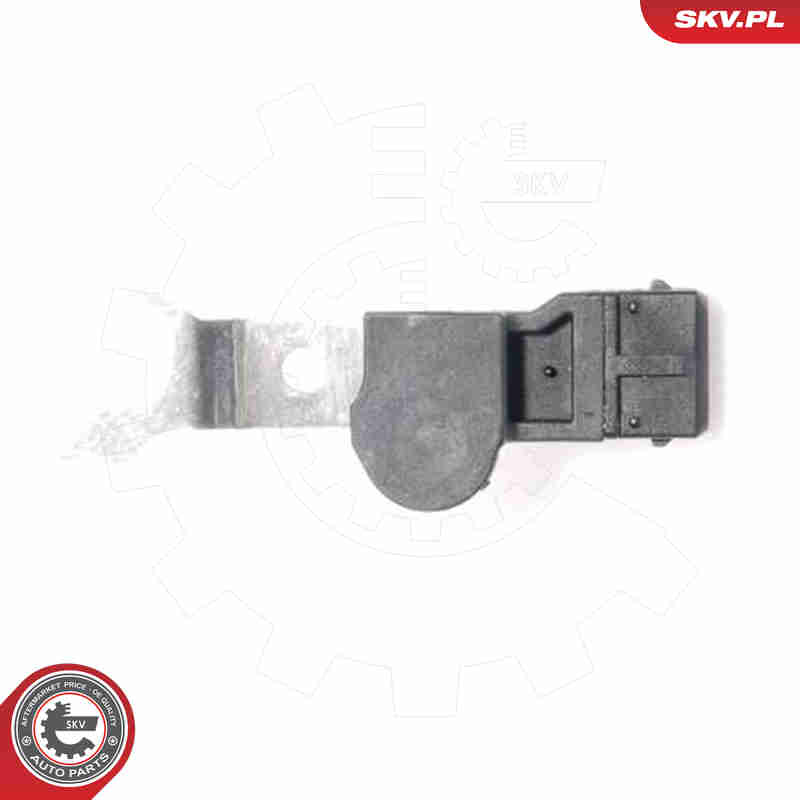 Sensor, camshaft position - 17SKV218 ESEN SKV
