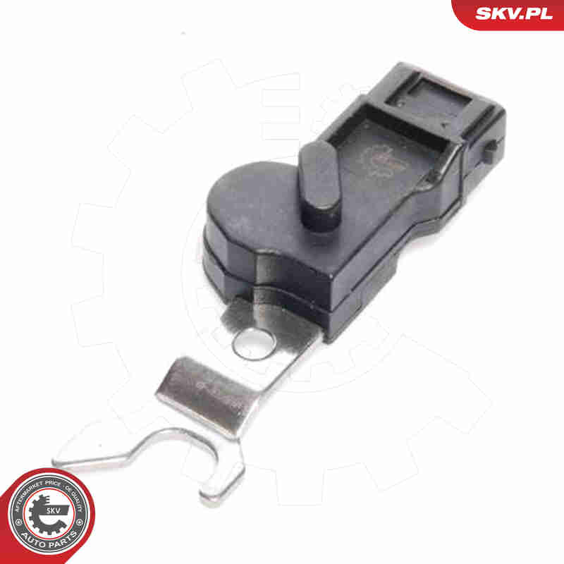 Sensor, camshaft position - 17SKV218 ESEN SKV