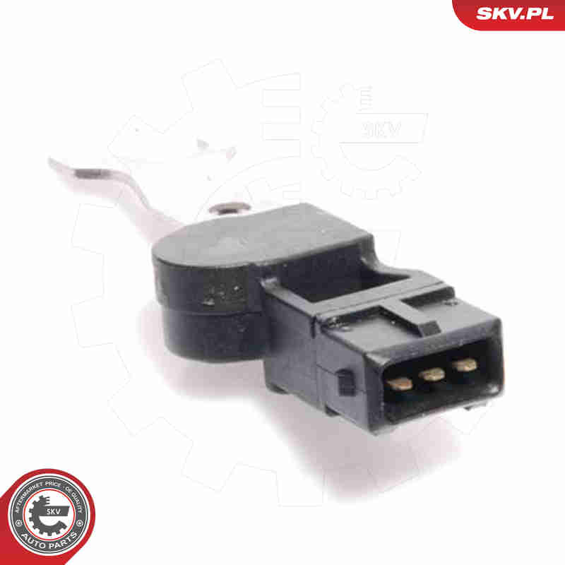 Sensor, camshaft position - 17SKV218 ESEN SKV