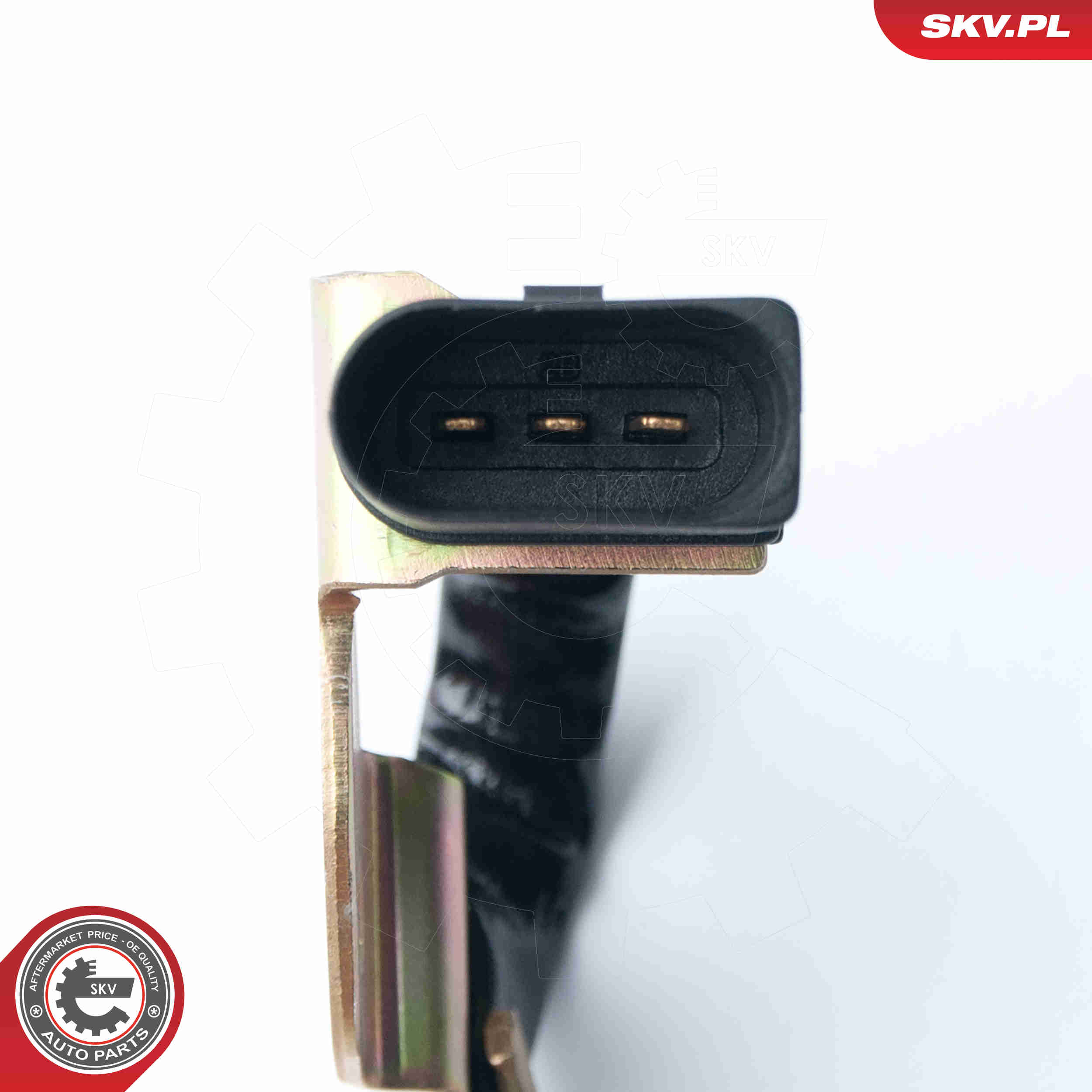 Sensor, camshaft position - 17SKV221 ESEN SKV