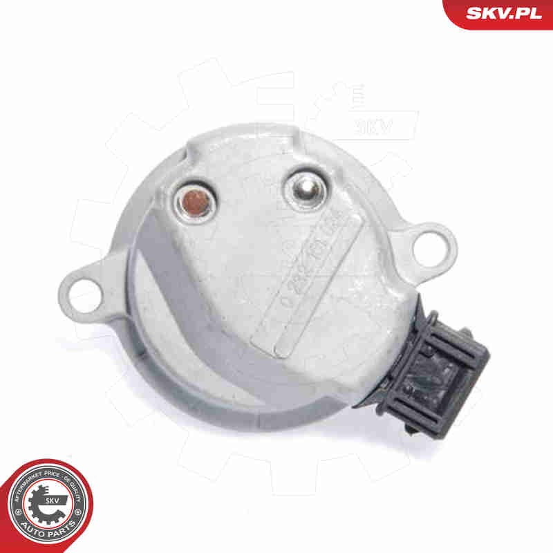 Sensor, camshaft position - 17SKV222 ESEN SKV