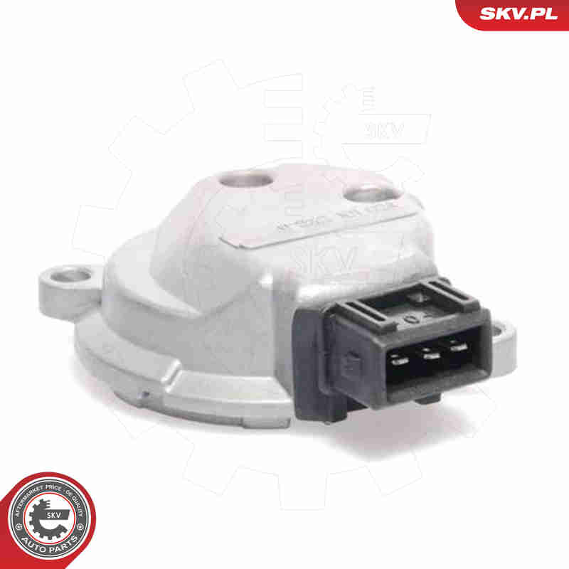 Sensor, camshaft position - 17SKV222 ESEN SKV