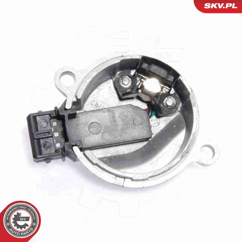 Sensor, camshaft position - 17SKV222 ESEN SKV