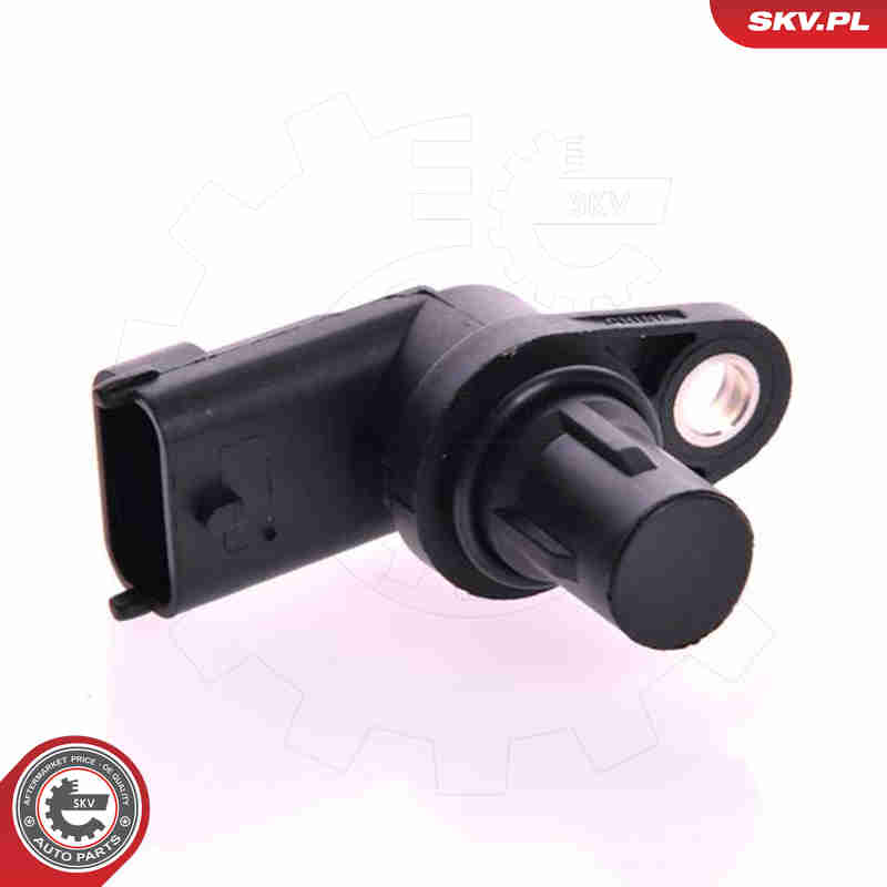 Sensor, camshaft position - 17SKV229 ESEN SKV