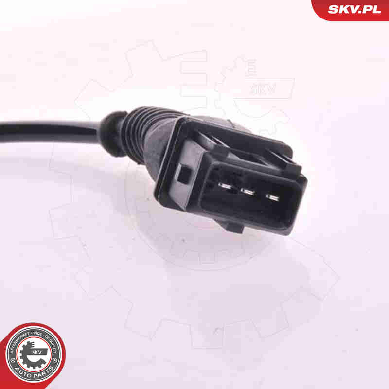 Sensor, camshaft position - 17SKV231 ESEN SKV