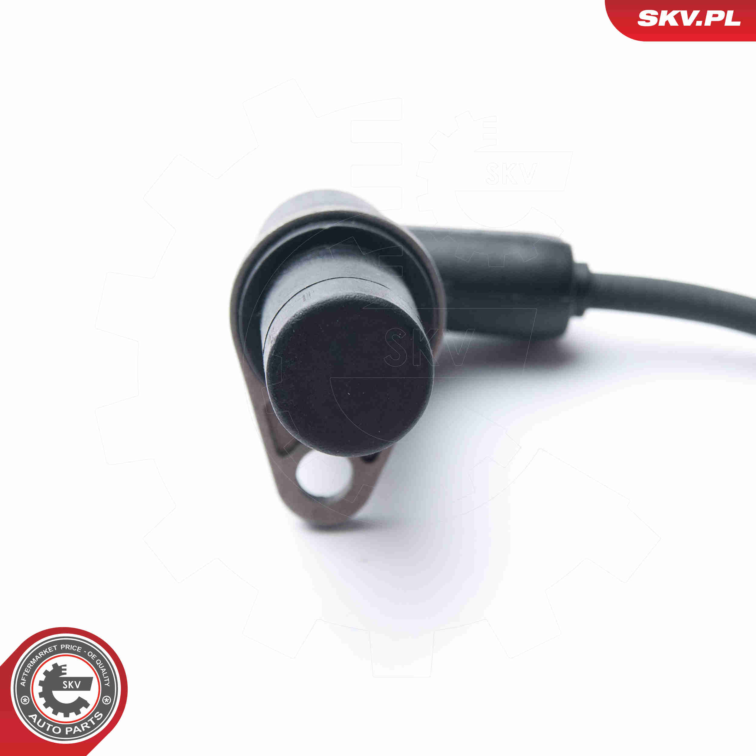 Sensor, camshaft position - 17SKV239 ESEN SKV