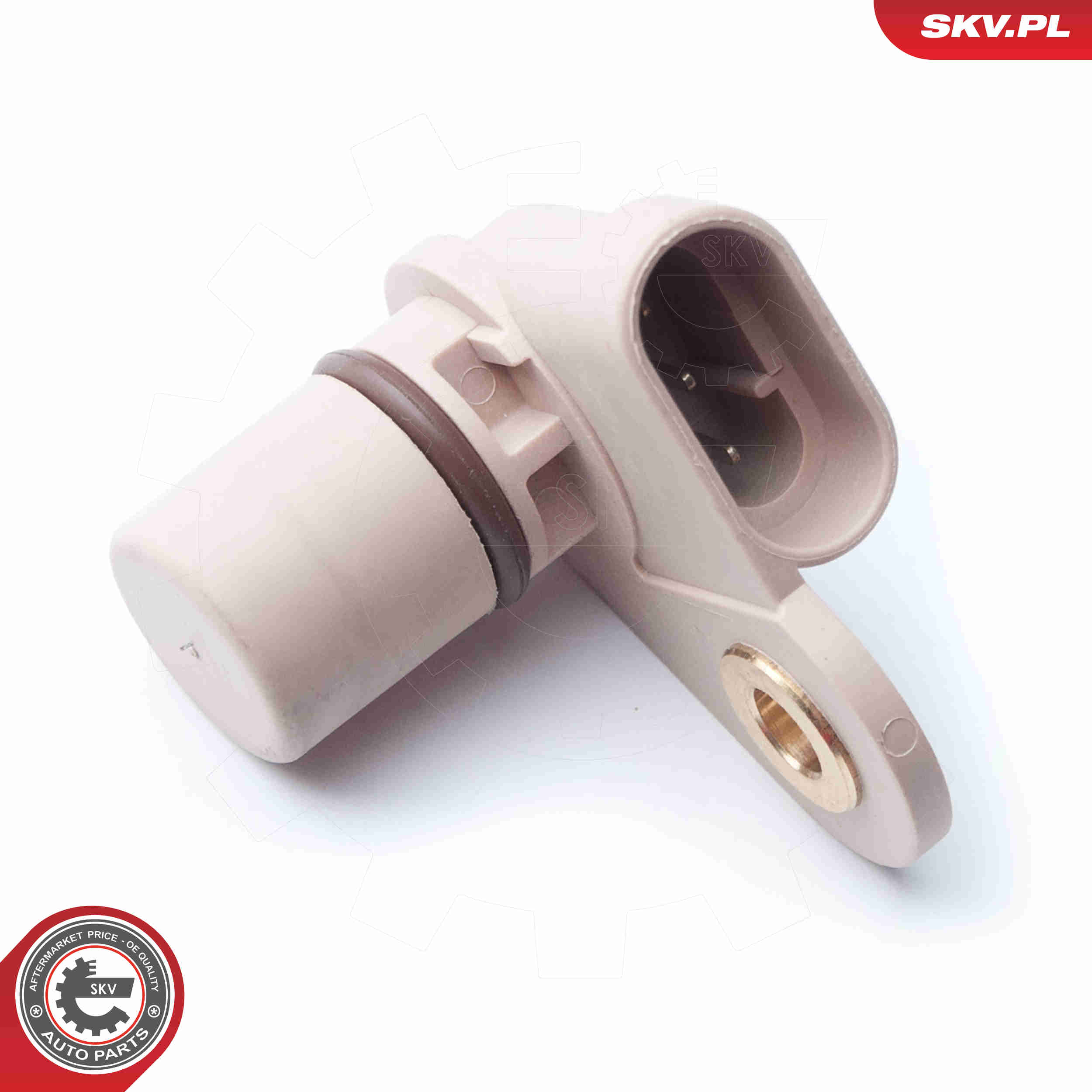 Sensor, camshaft position - 17SKV246 ESEN SKV
