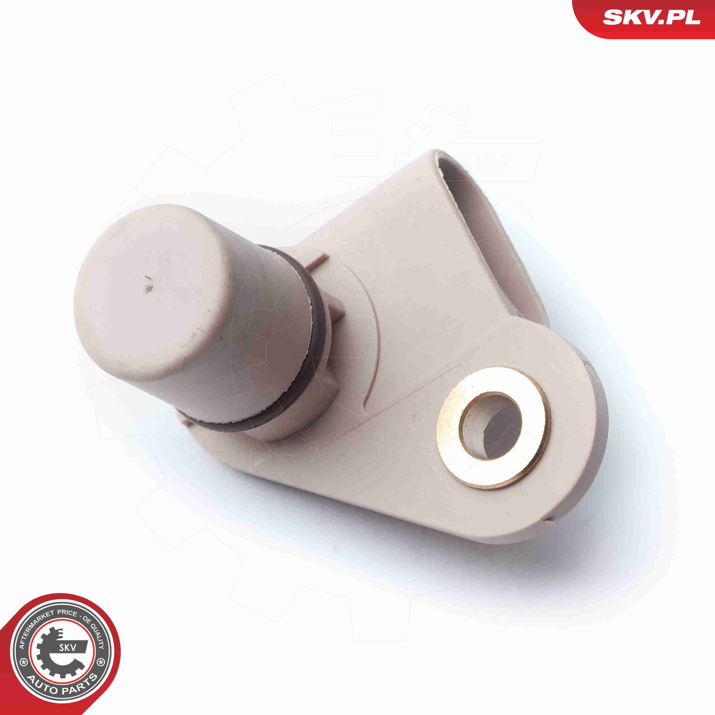 Sensor, camshaft position - 17SKV246 ESEN SKV