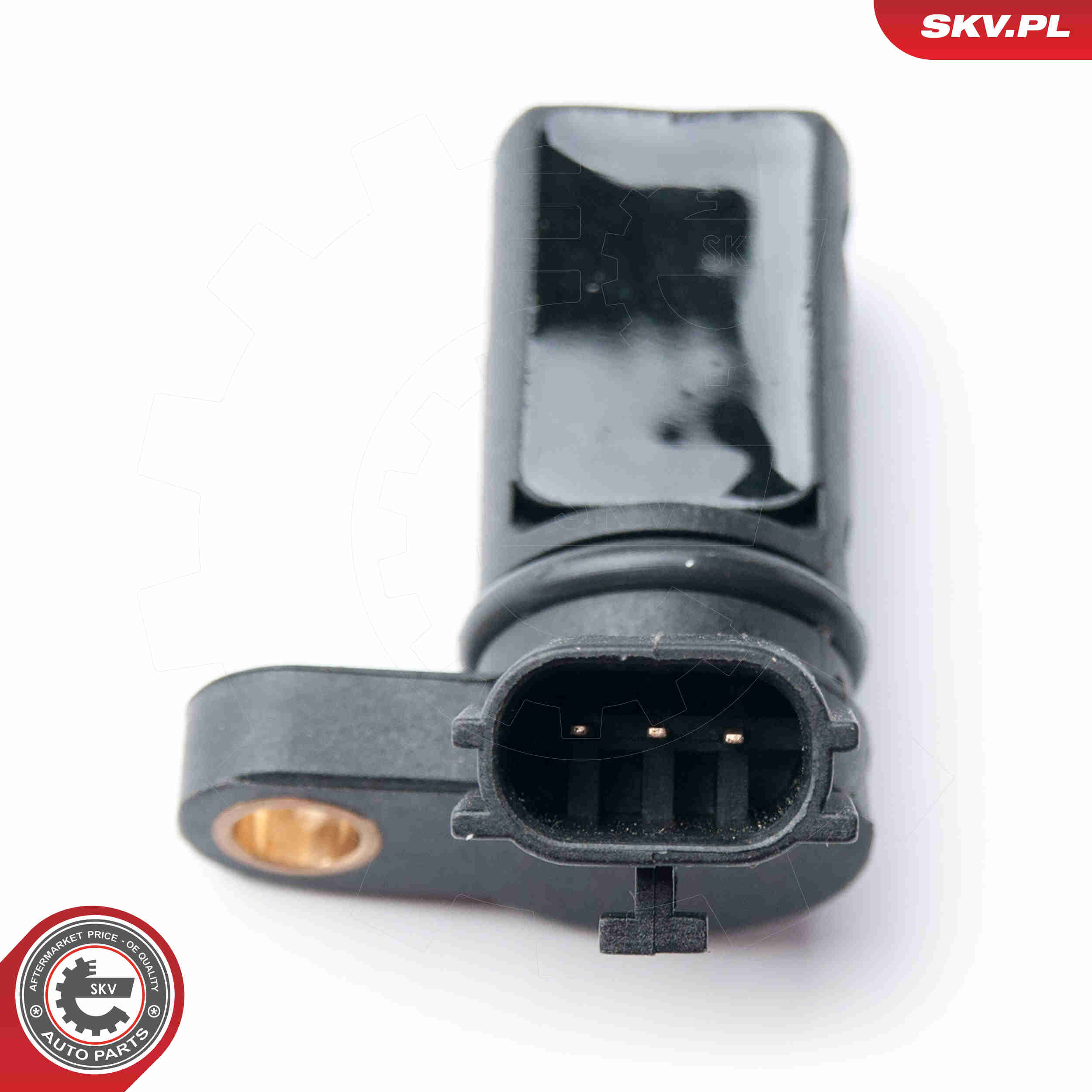 Sensor, camshaft position - 17SKV255 ESEN SKV