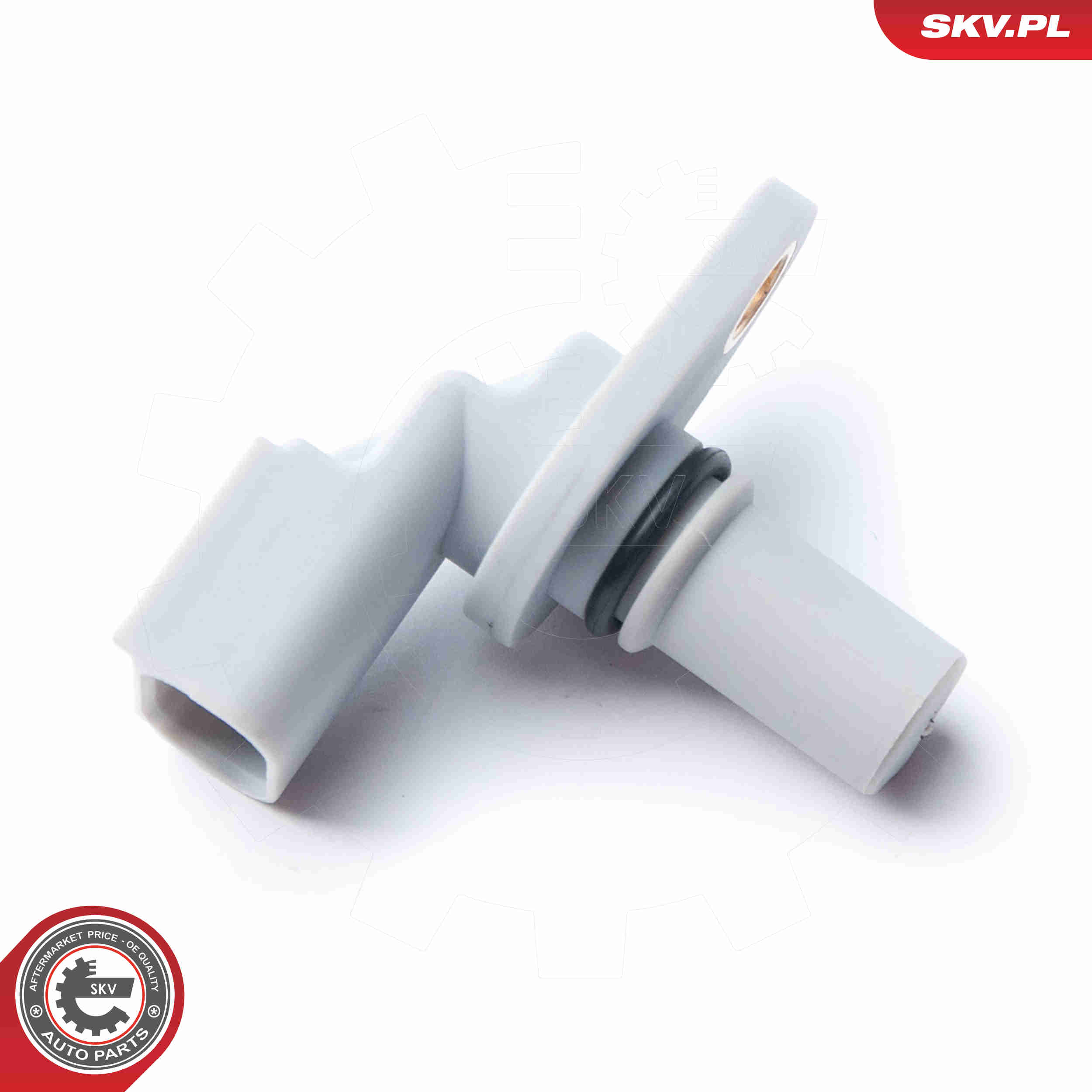 Sensor, camshaft position - 17SKV257 ESEN SKV