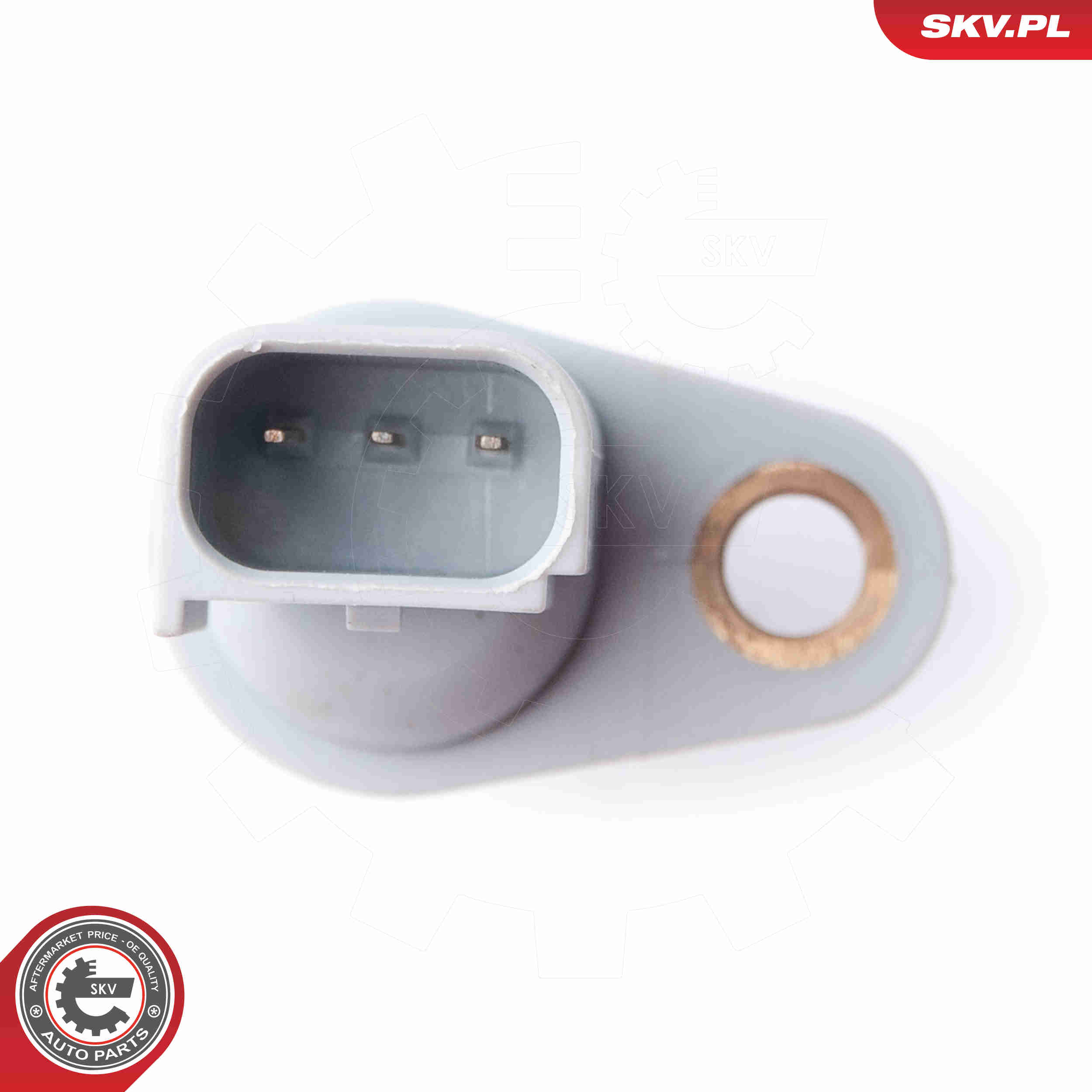 Sensor, camshaft position - 17SKV260 ESEN SKV