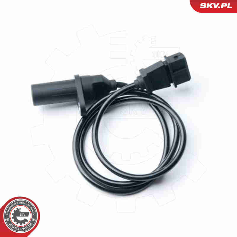 Generatore di impulsi, Albero a gomiti - 17SKV291 ESEN SKV