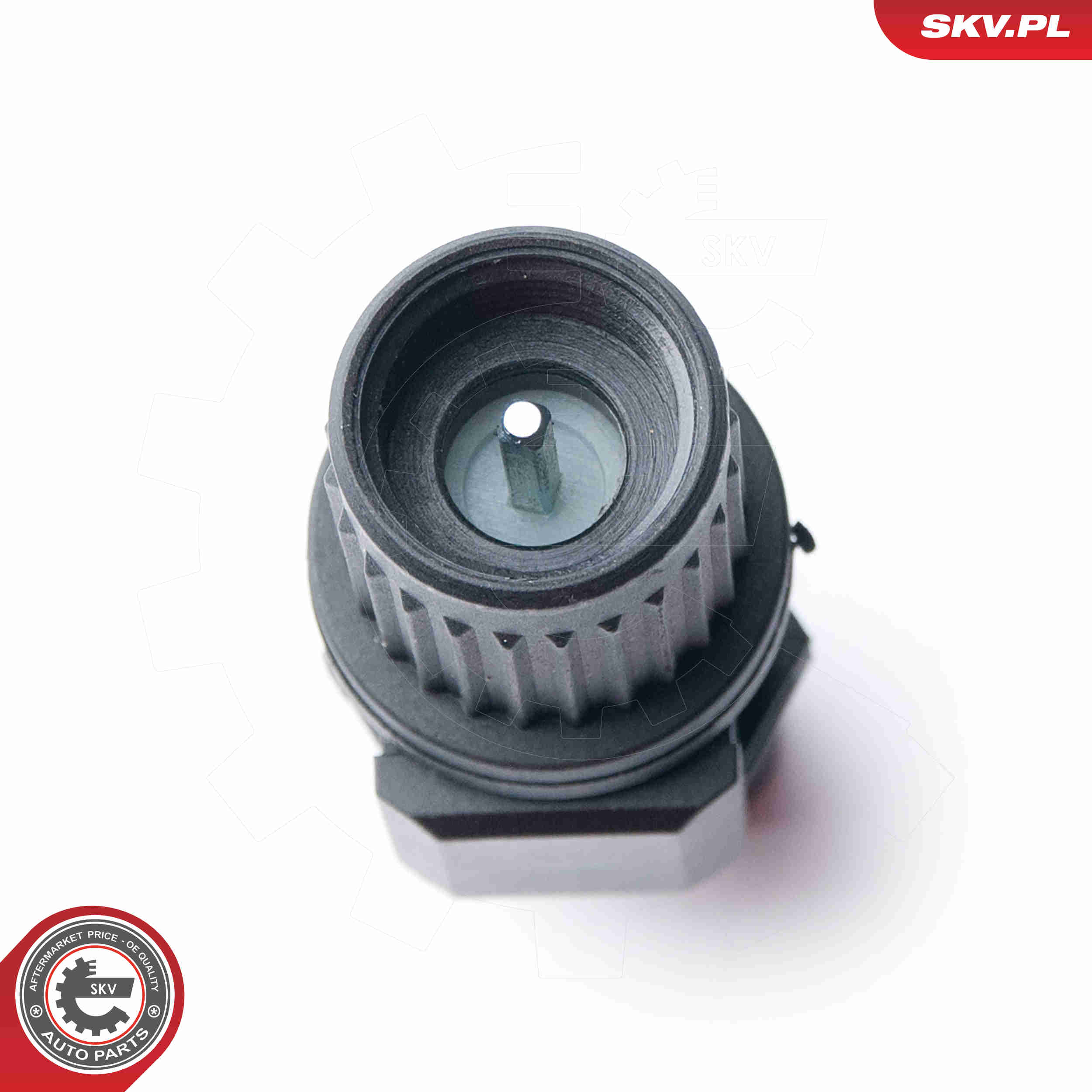 Sensor, speed - 17SKV339 ESEN SKV