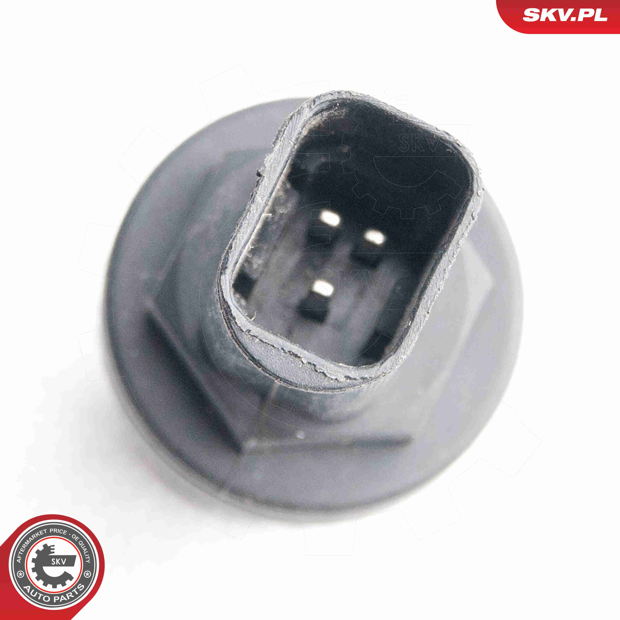 Sensor, speed - 17SKV356 ESEN SKV