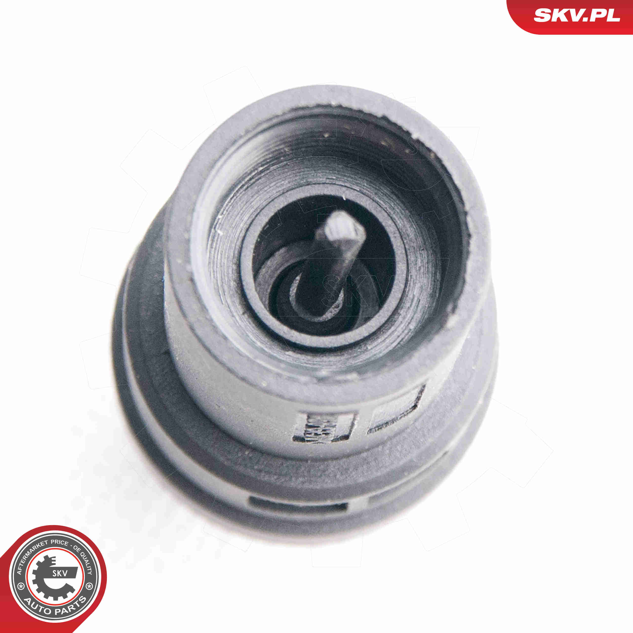 Sensor, speed - 17SKV356 ESEN SKV