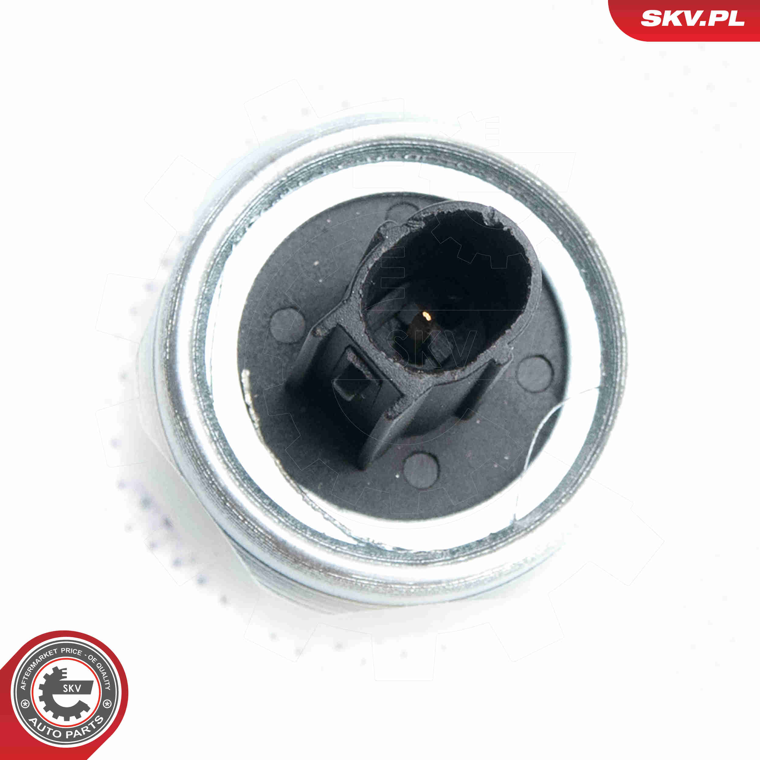 Knock Sensor - 17SKV360 ESEN SKV