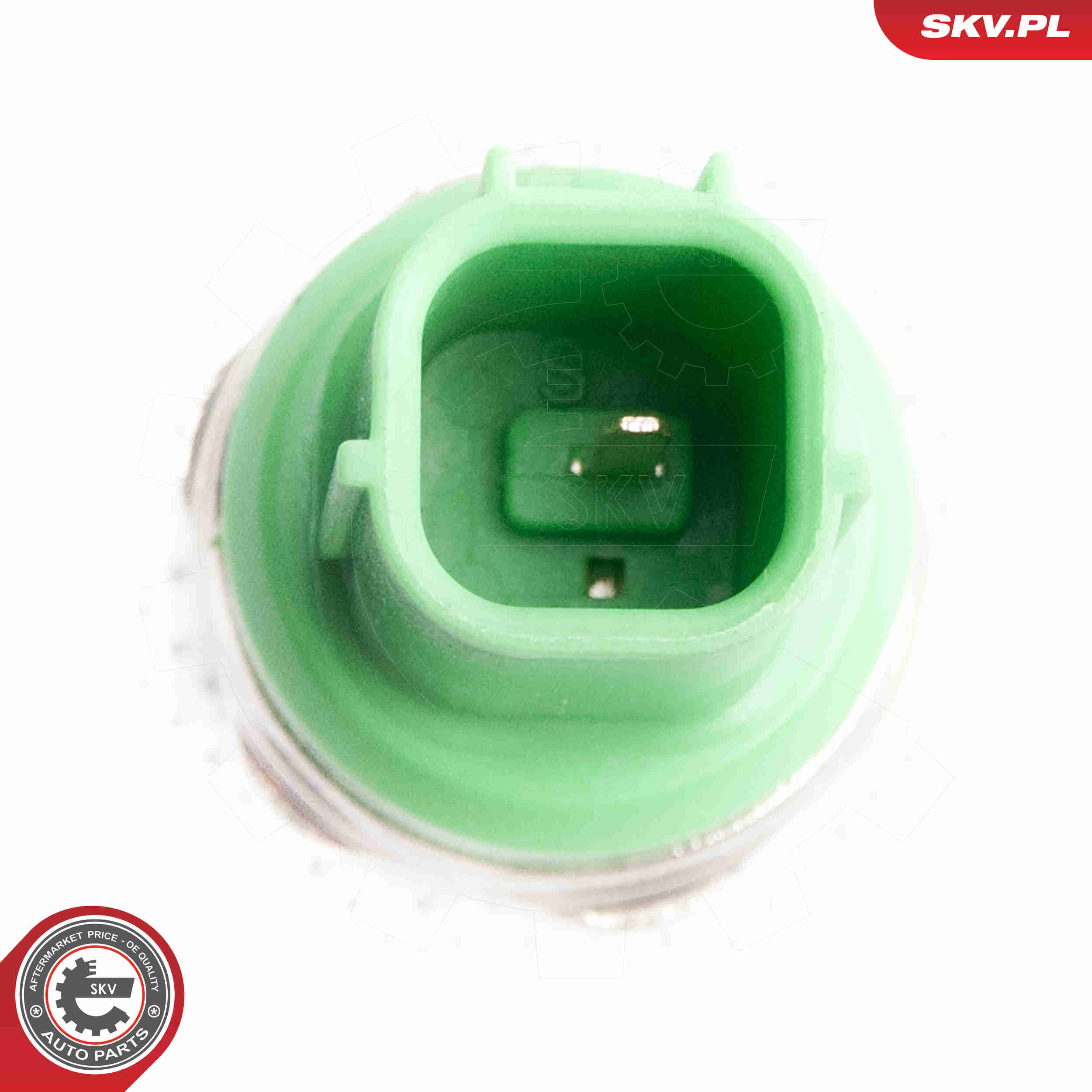 Knock Sensor - 17SKV361 ESEN SKV