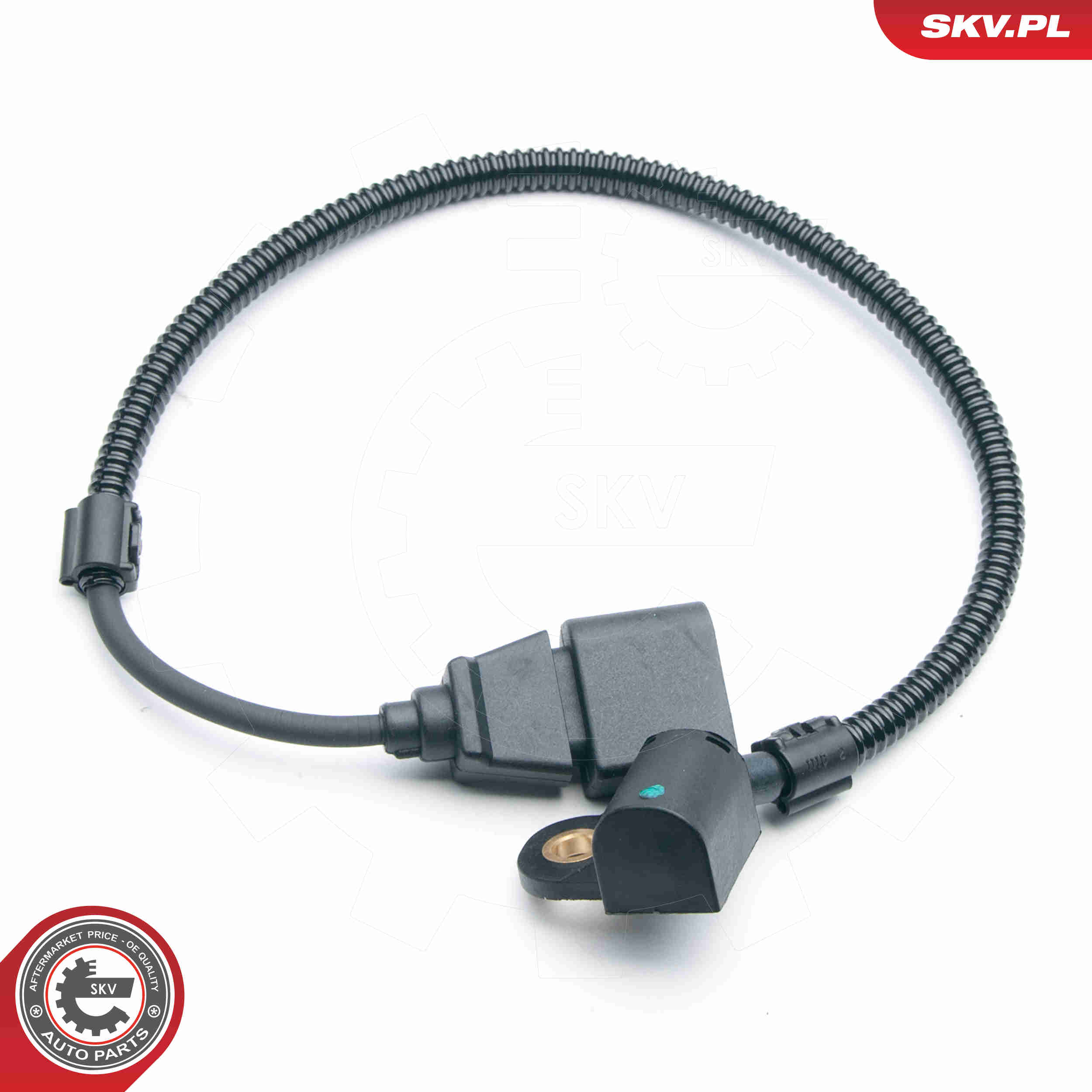 Sensor, camshaft position - 17SKV365 ESEN SKV