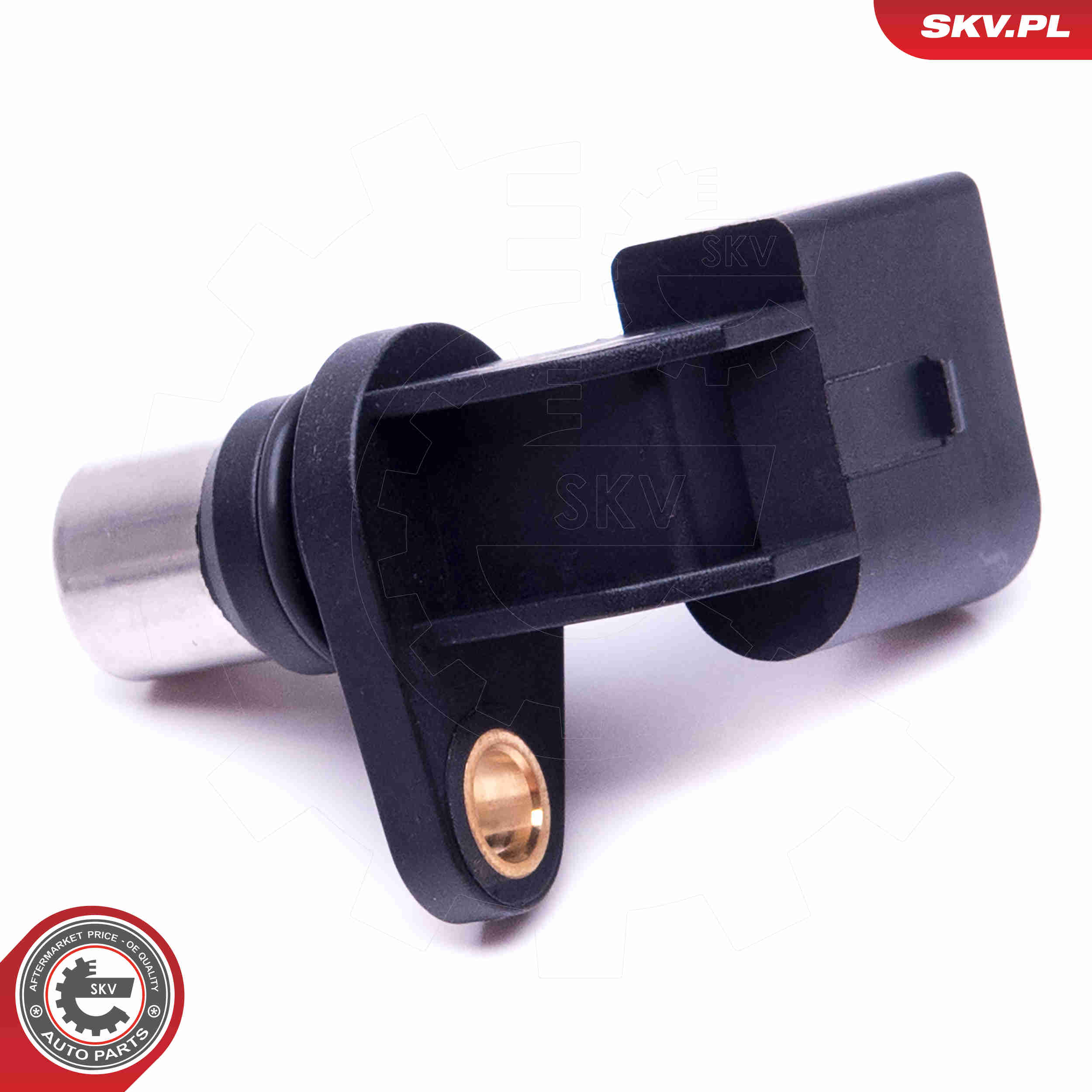 Sensor, camshaft position - 17SKV489 ESEN SKV