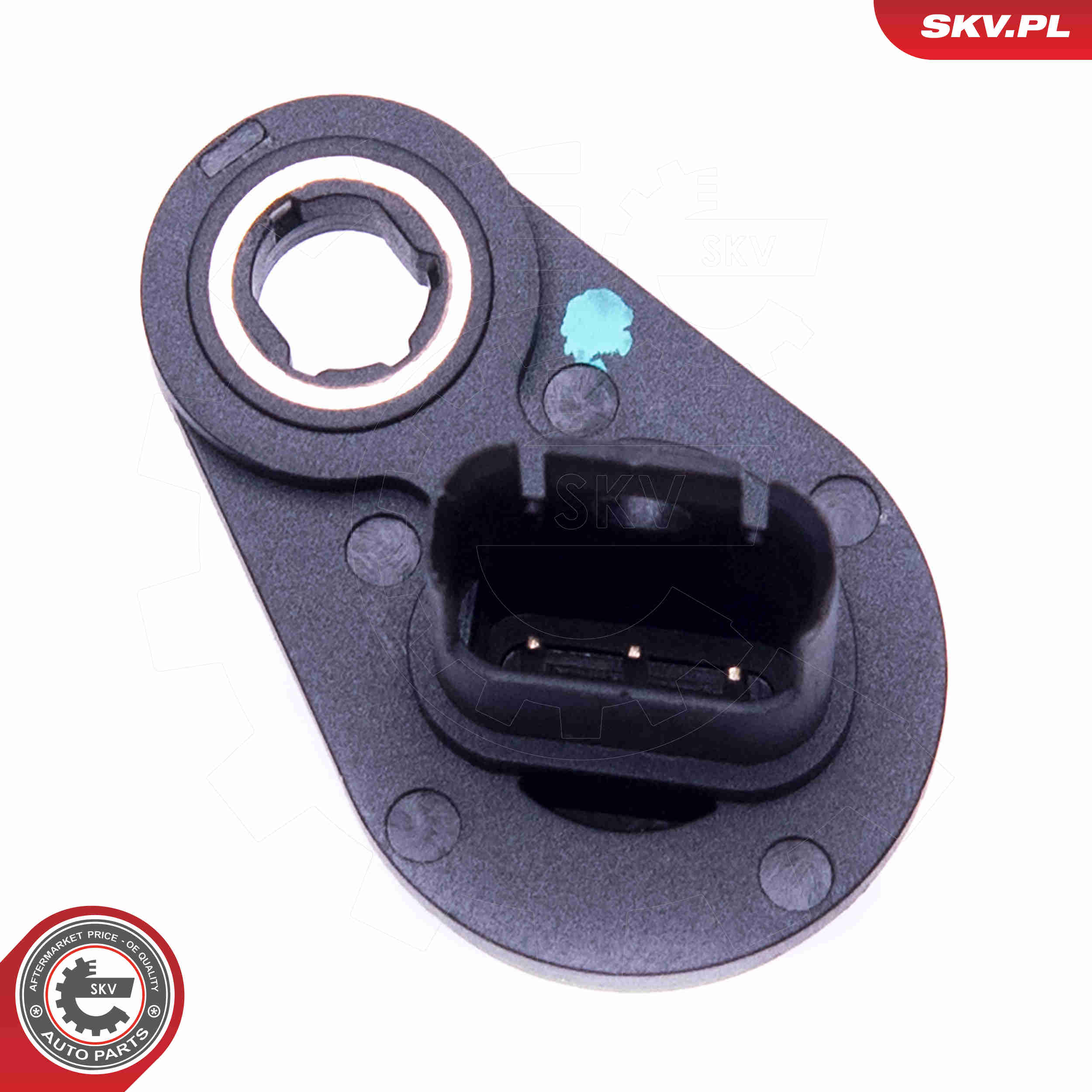 Sensor, camshaft position - 17SKV494 ESEN SKV