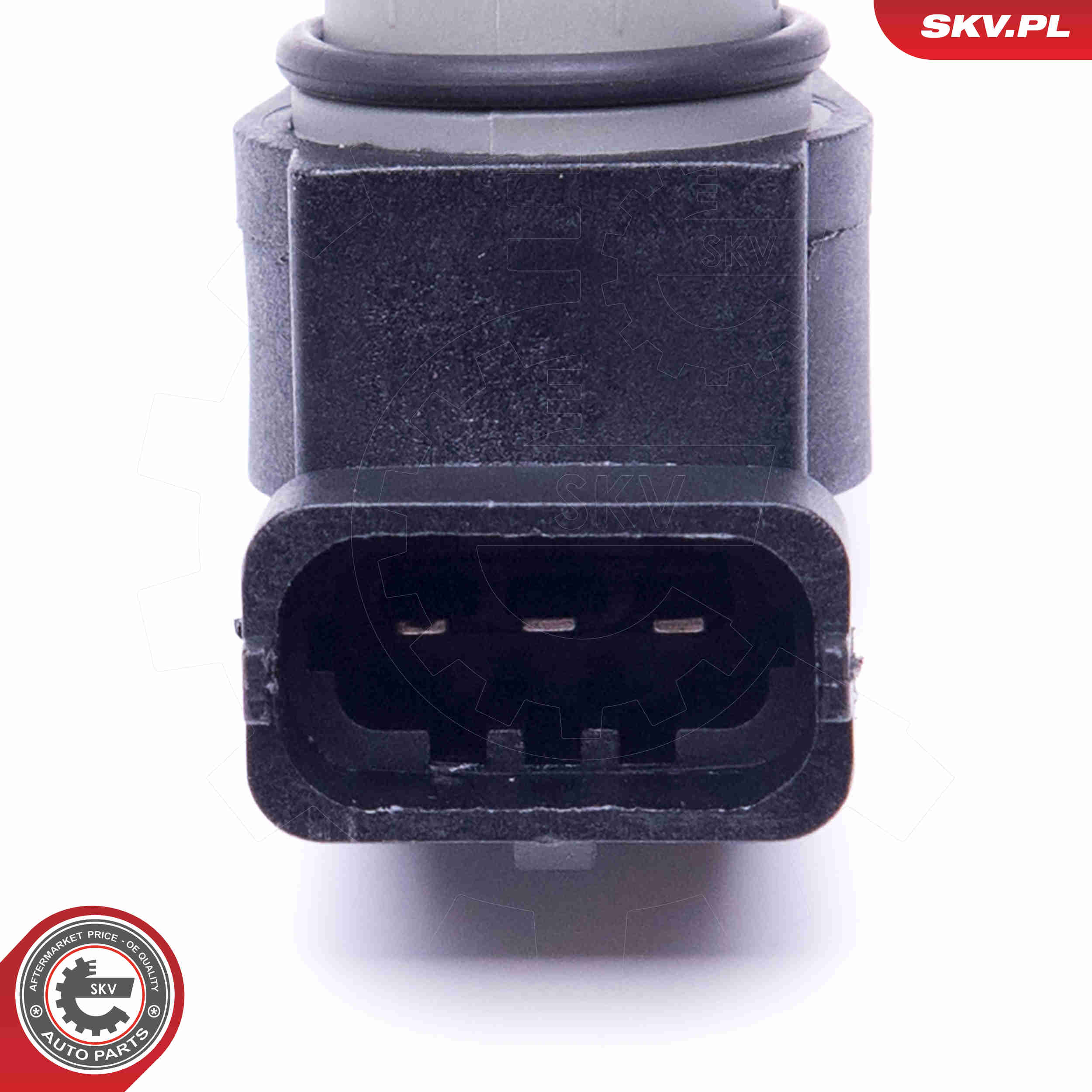 Sensor, camshaft position - 17SKV496 ESEN SKV