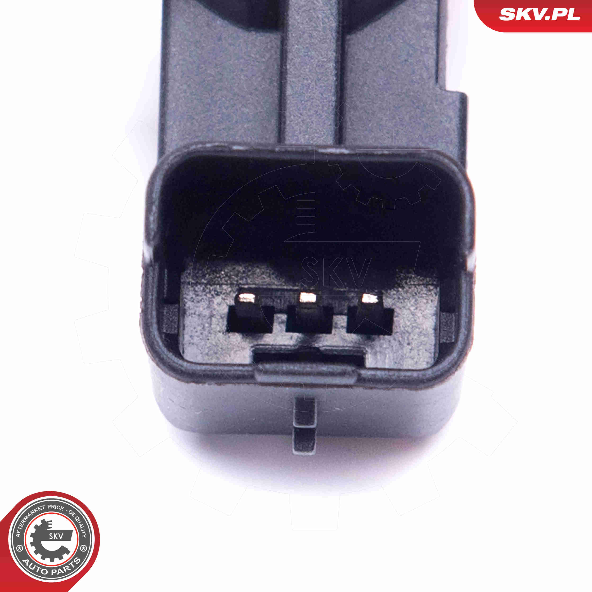 Sensor, camshaft position - 17SKV501 ESEN SKV